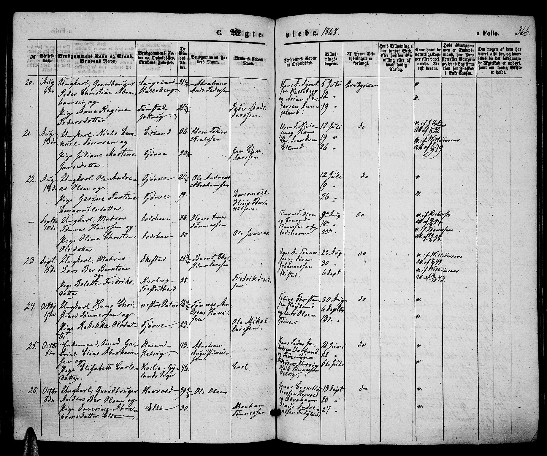 Lista sokneprestkontor, AV/SAK-1111-0027/F/Fb/L0003: Parish register (copy) no. B 3, 1862-1877, p. 366