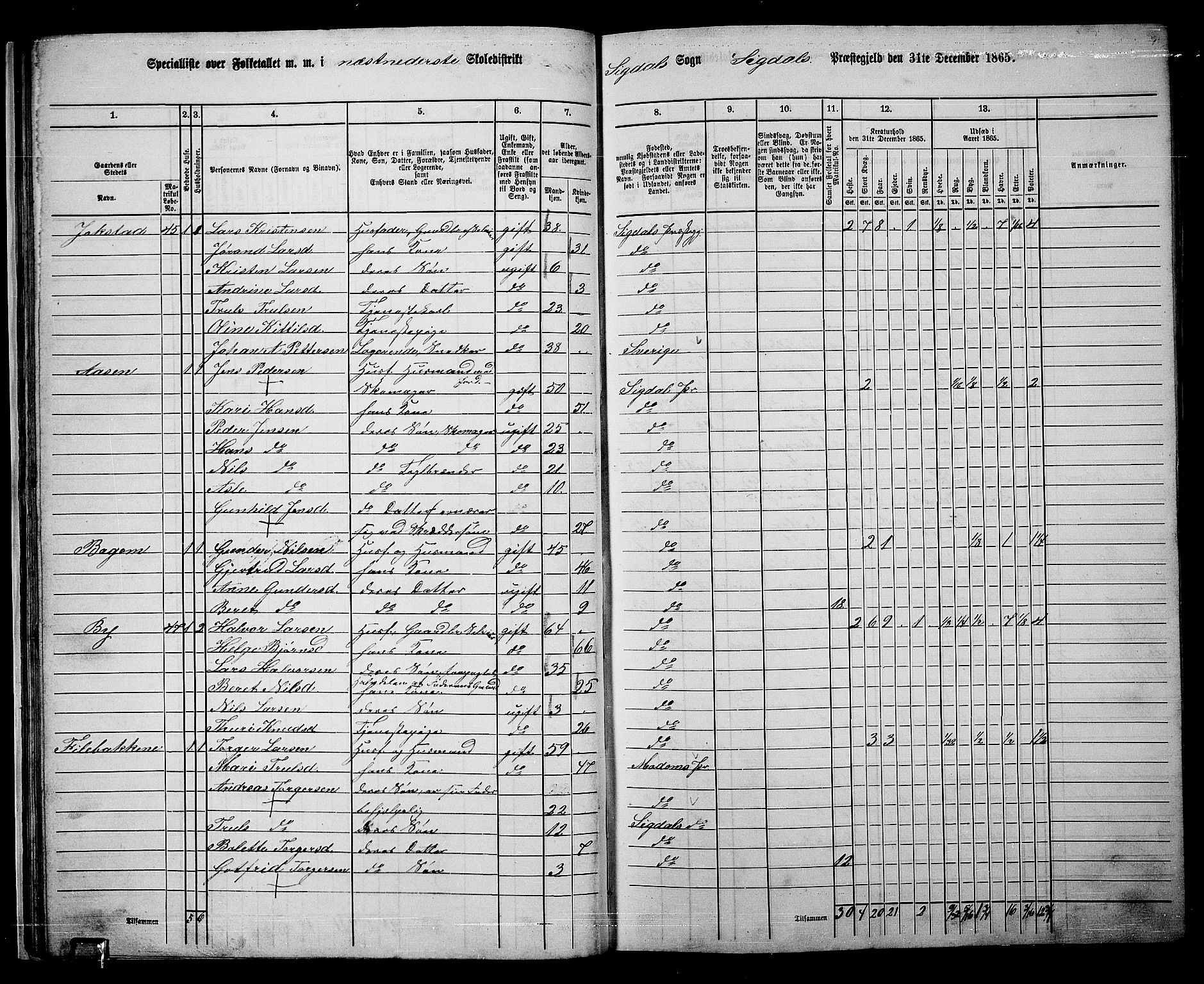 RA, 1865 census for Sigdal, 1865, p. 45