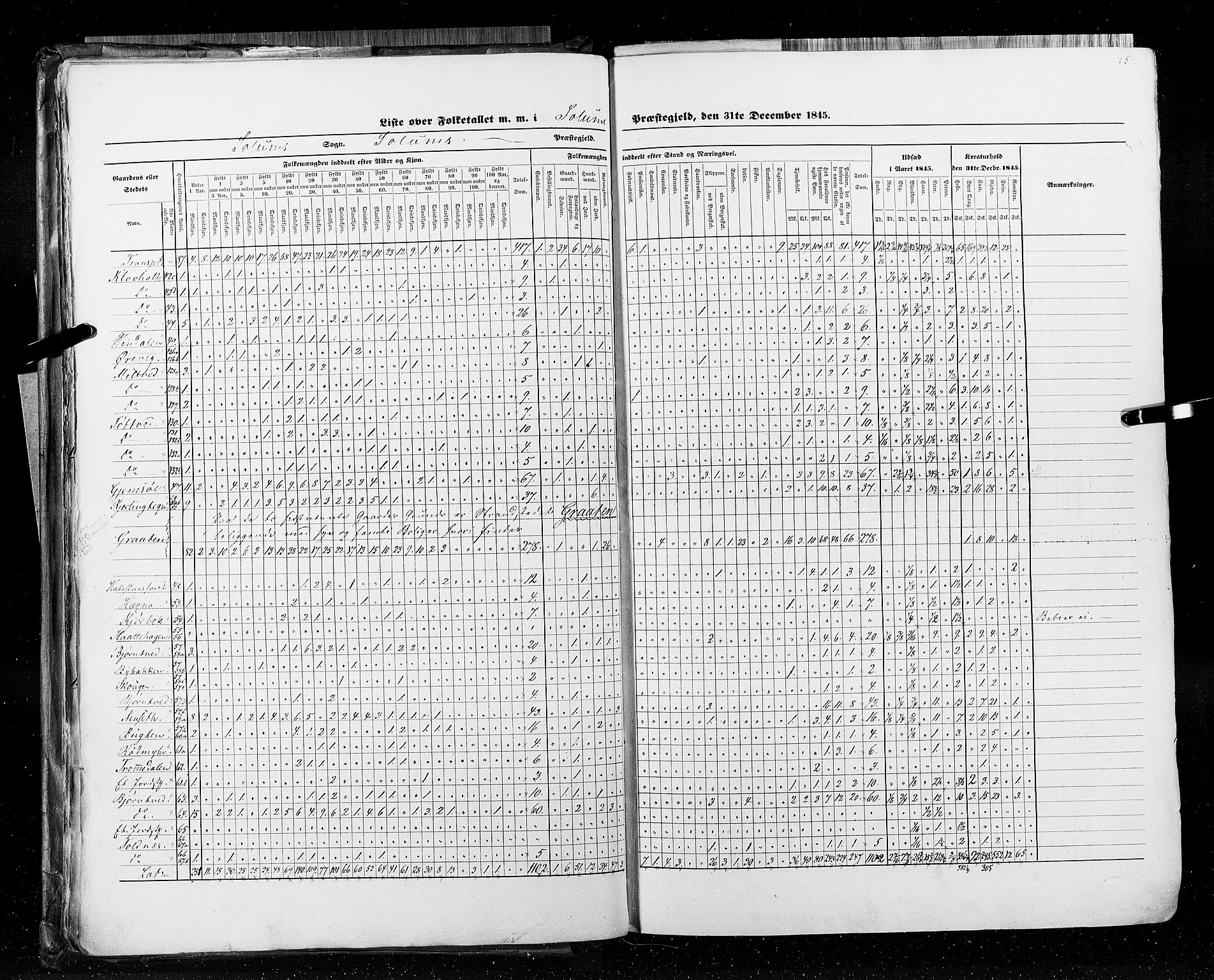 RA, Census 1845, vol. 5: Bratsberg amt og Nedenes og Råbyggelaget amt, 1845, p. 25