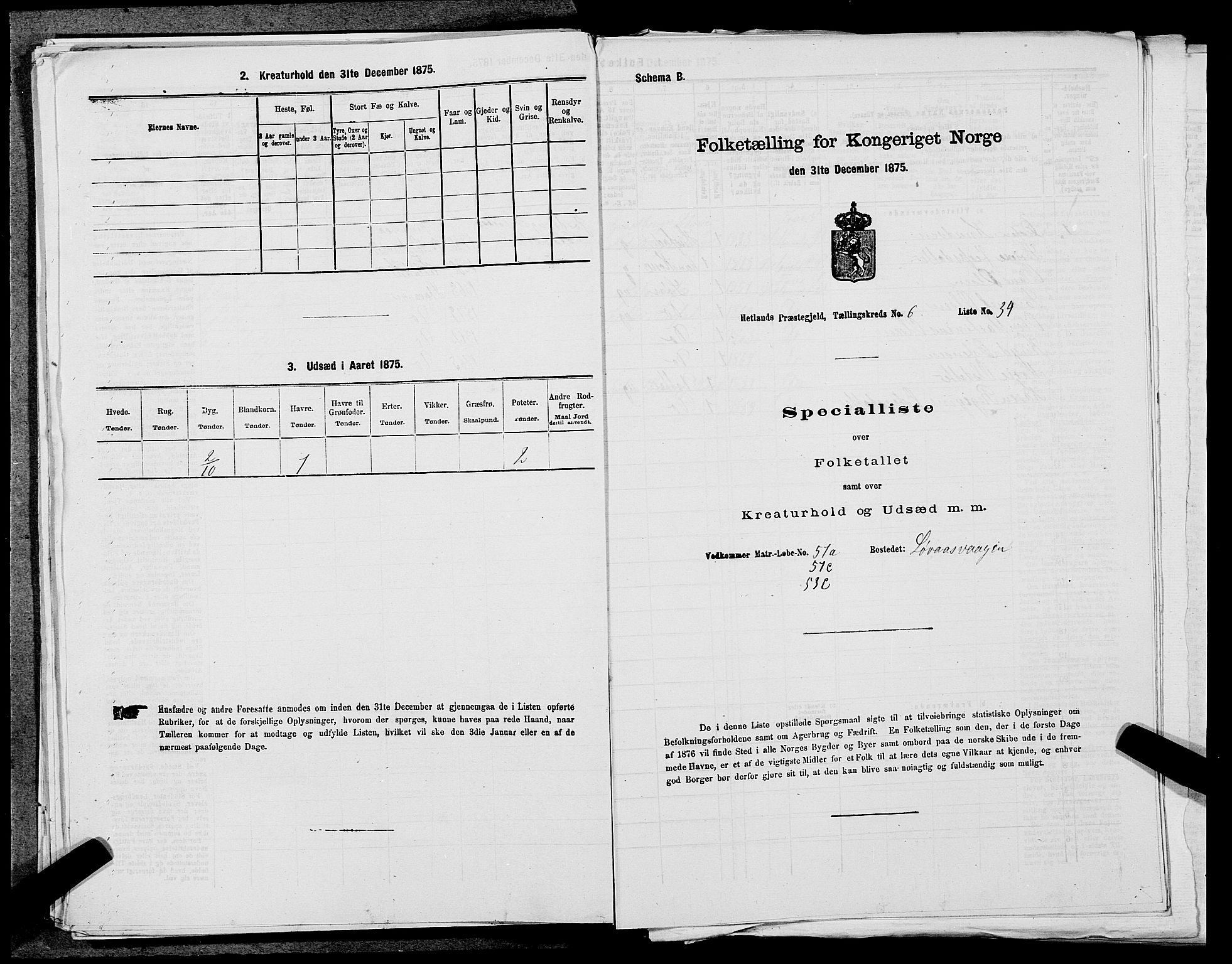 SAST, 1875 census for 1126P Hetland, 1875, p. 1419