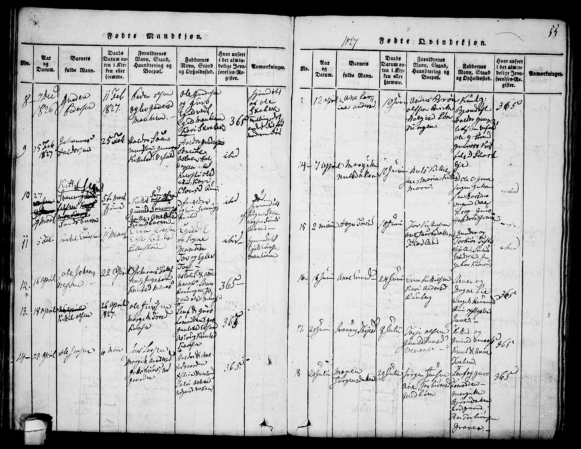 Seljord kirkebøker, SAKO/A-20/F/Fa/L0010: Parish register (official) no. I 10, 1815-1831, p. 55