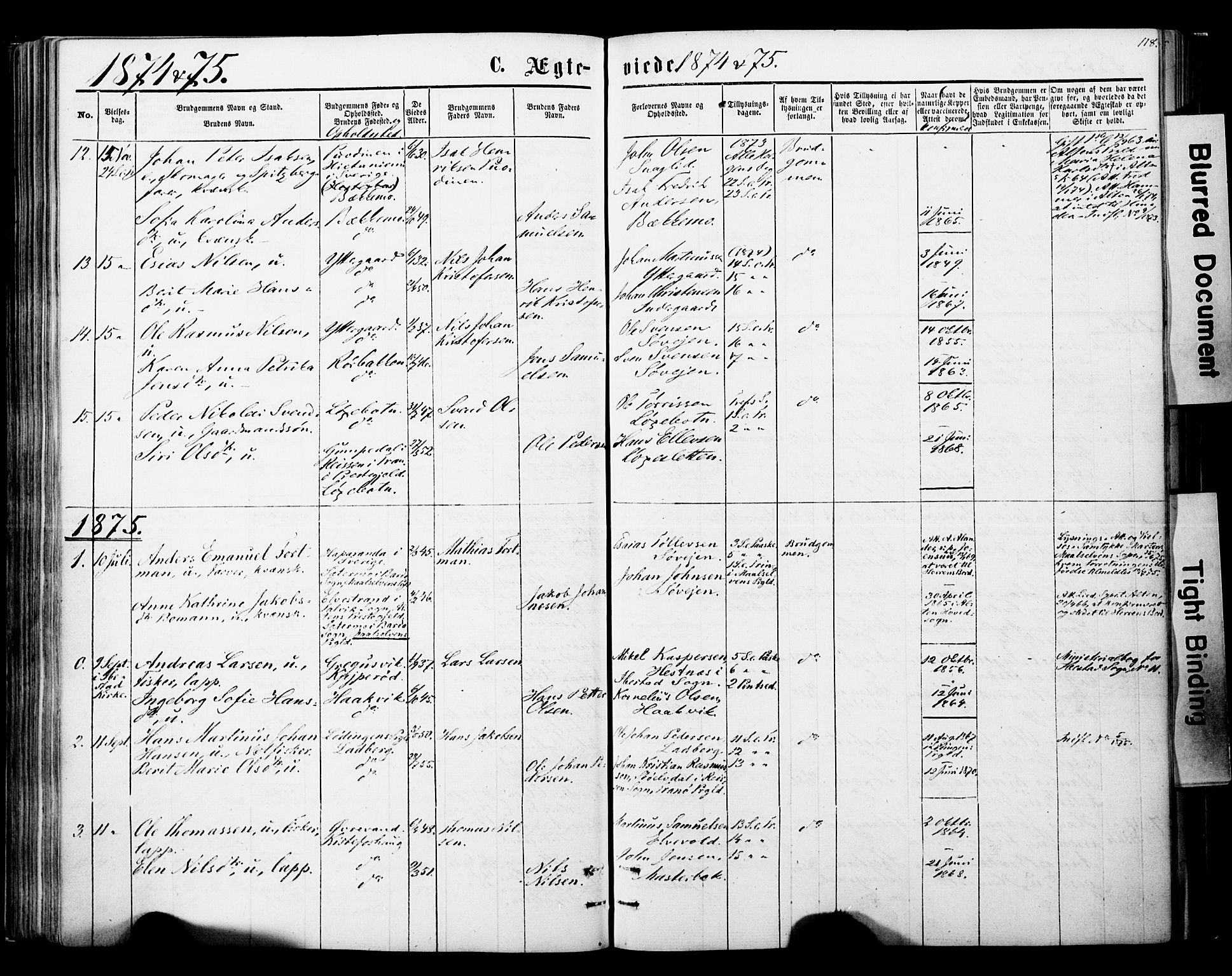 Ibestad sokneprestembete, SATØ/S-0077/H/Ha/Haa/L0013kirke: Parish register (official) no. 13, 1865-1879, p. 118