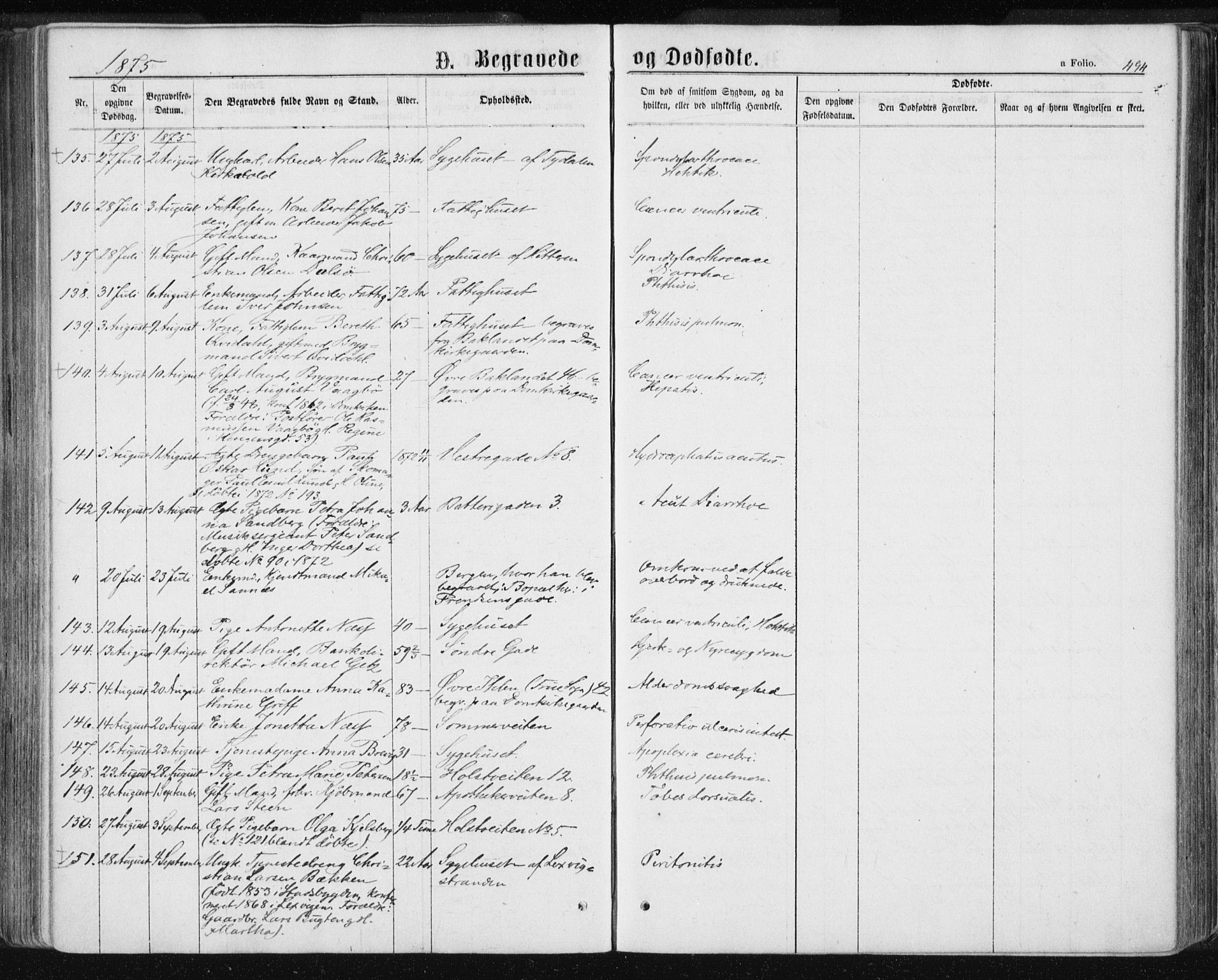 Ministerialprotokoller, klokkerbøker og fødselsregistre - Sør-Trøndelag, SAT/A-1456/601/L0055: Parish register (official) no. 601A23, 1866-1877, p. 494