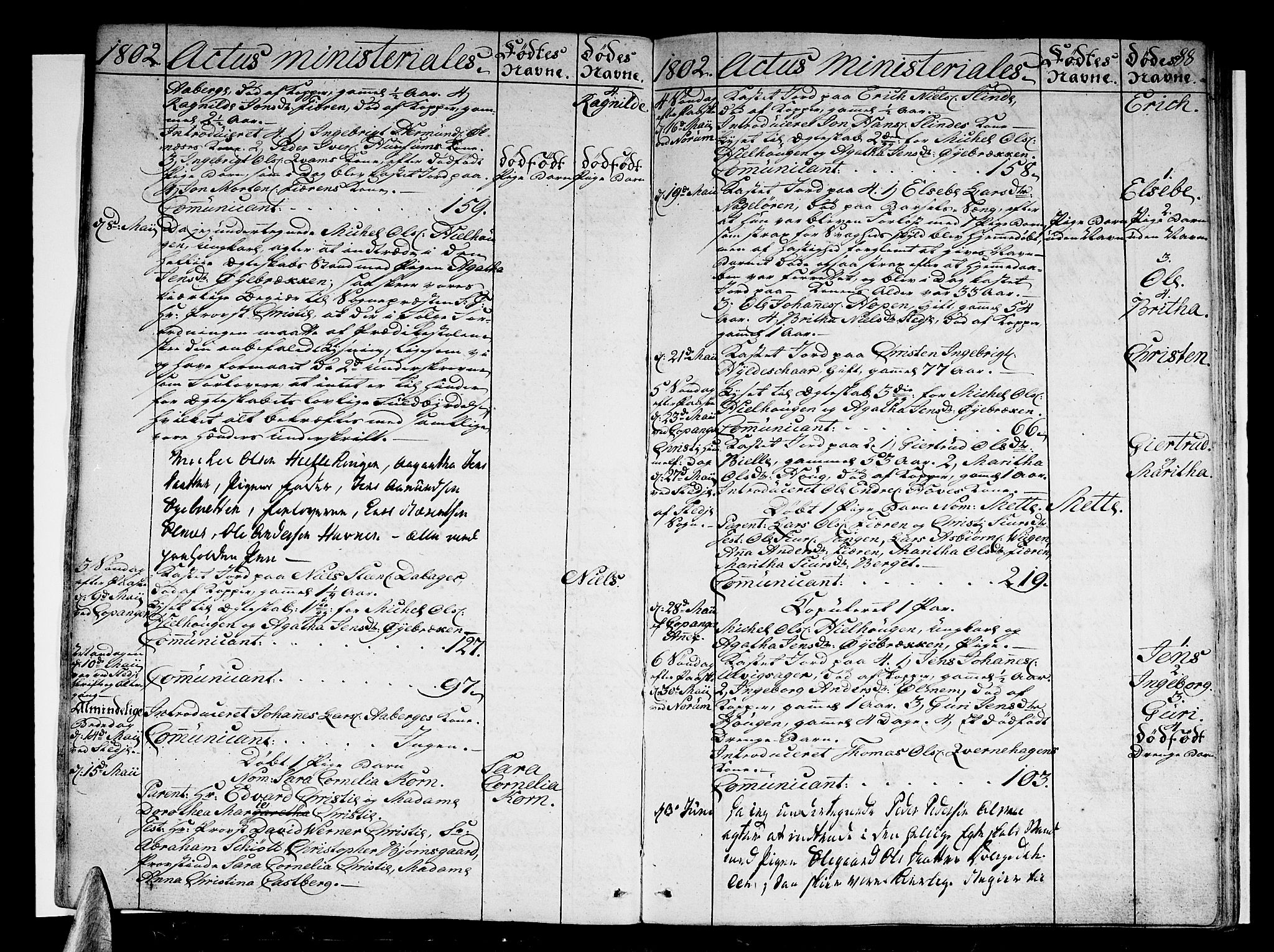 Sogndal sokneprestembete, SAB/A-81301/H/Haa/Haaa/L0008: Parish register (official) no. A 8, 1795-1809, p. 88