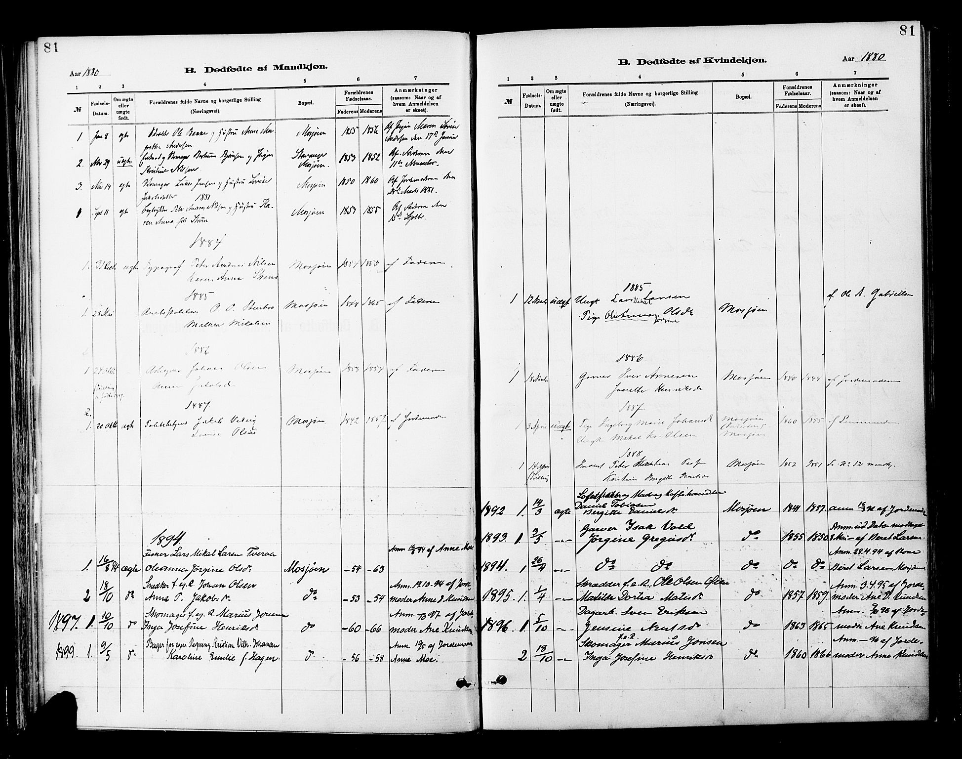 Ministerialprotokoller, klokkerbøker og fødselsregistre - Nordland, AV/SAT-A-1459/820/L0296: Parish register (official) no. 820A17, 1880-1903, p. 81