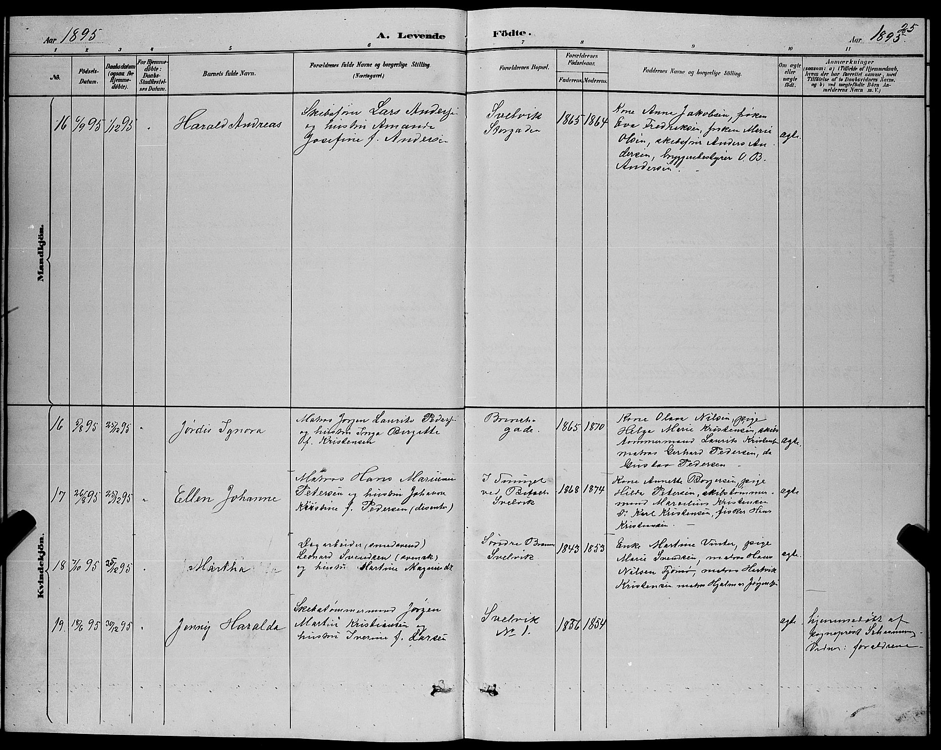 Strømm kirkebøker, AV/SAKO-A-322/G/Gb/L0001: Parish register (copy) no. II 1, 1889-1896, p. 25