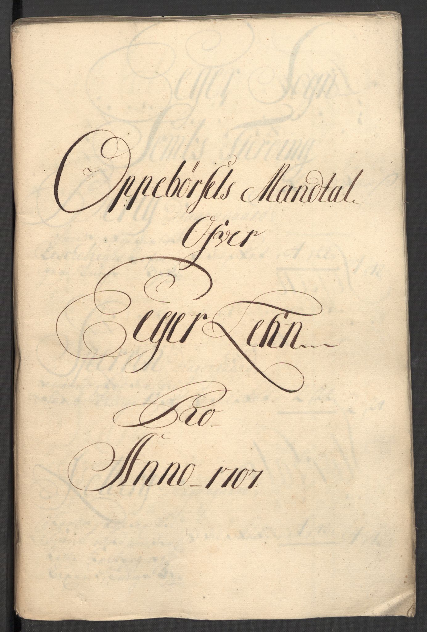 Rentekammeret inntil 1814, Reviderte regnskaper, Fogderegnskap, RA/EA-4092/R30/L1701: Fogderegnskap Hurum, Røyken, Eiker og Lier, 1706-1707, p. 326