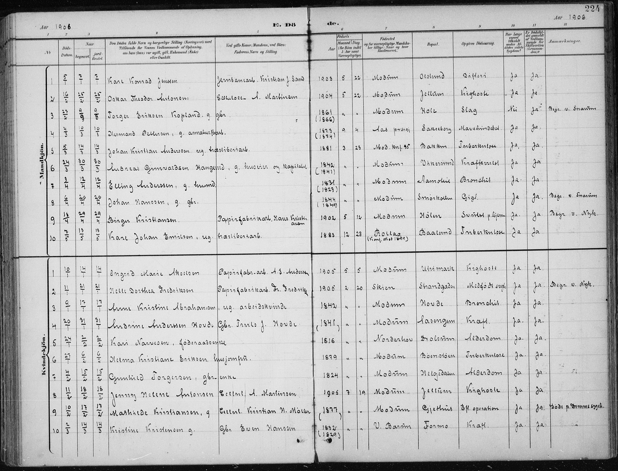 Modum kirkebøker, AV/SAKO-A-234/F/Fa/L0013: Parish register (official) no. 13, 1899-1907, p. 224