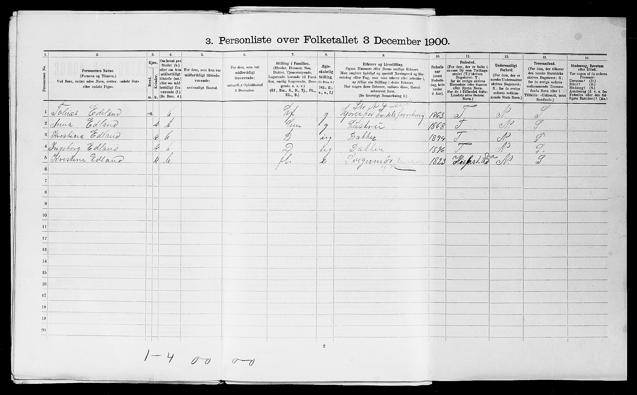 SAST, 1900 census for Stavanger, 1900, p. 18996