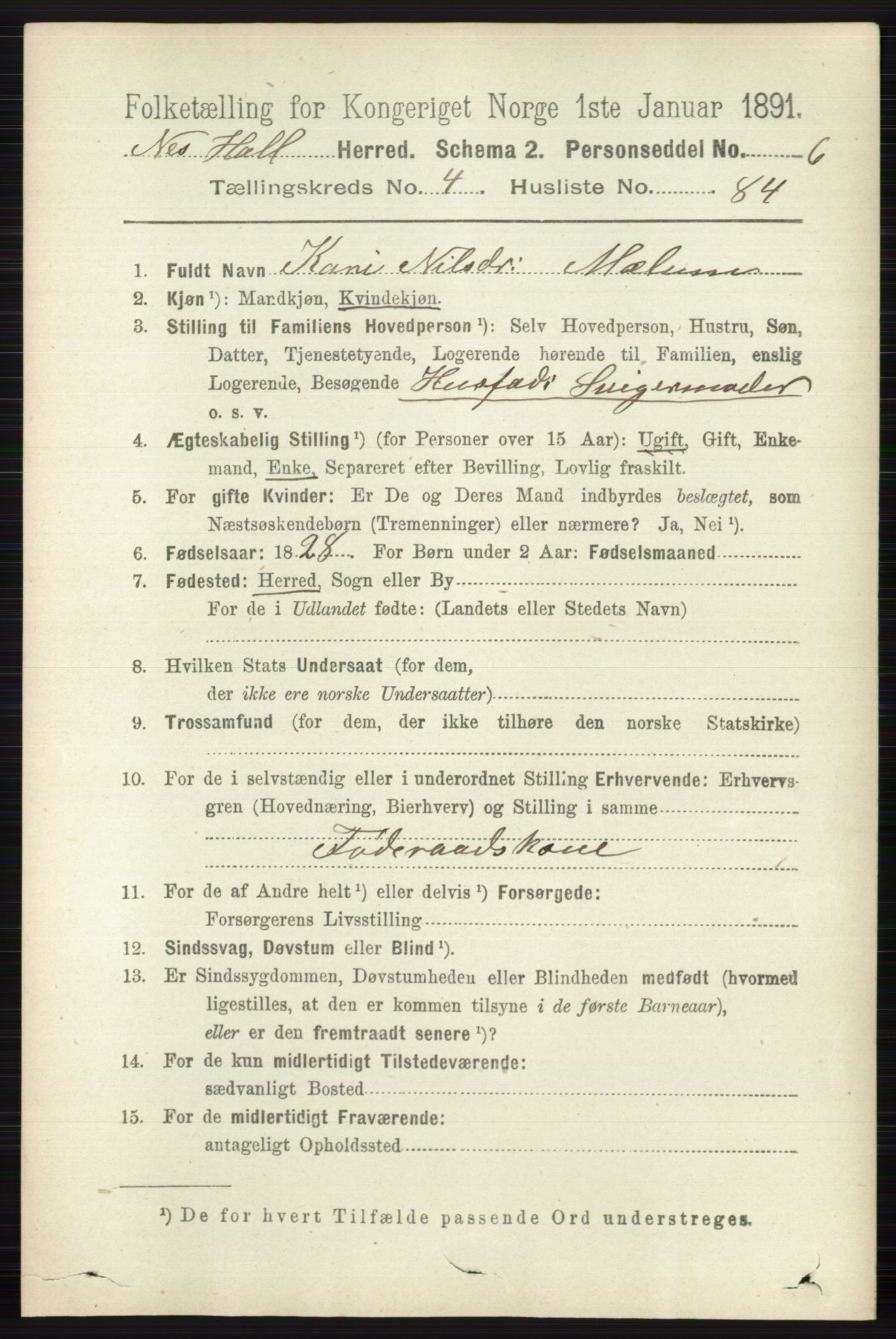 RA, 1891 census for 0616 Nes, 1891, p. 2564