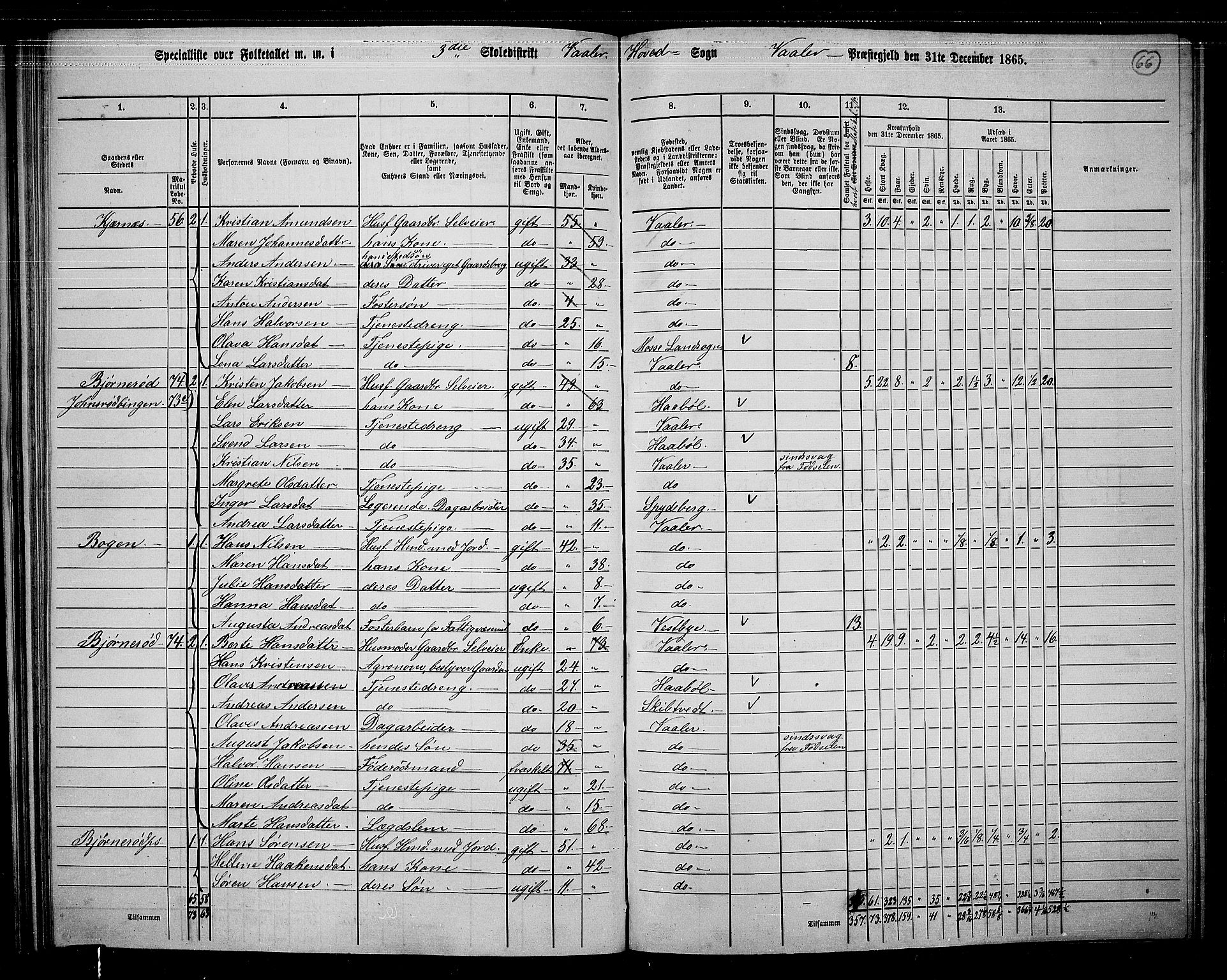 RA, 1865 census for Våler, 1865, p. 61