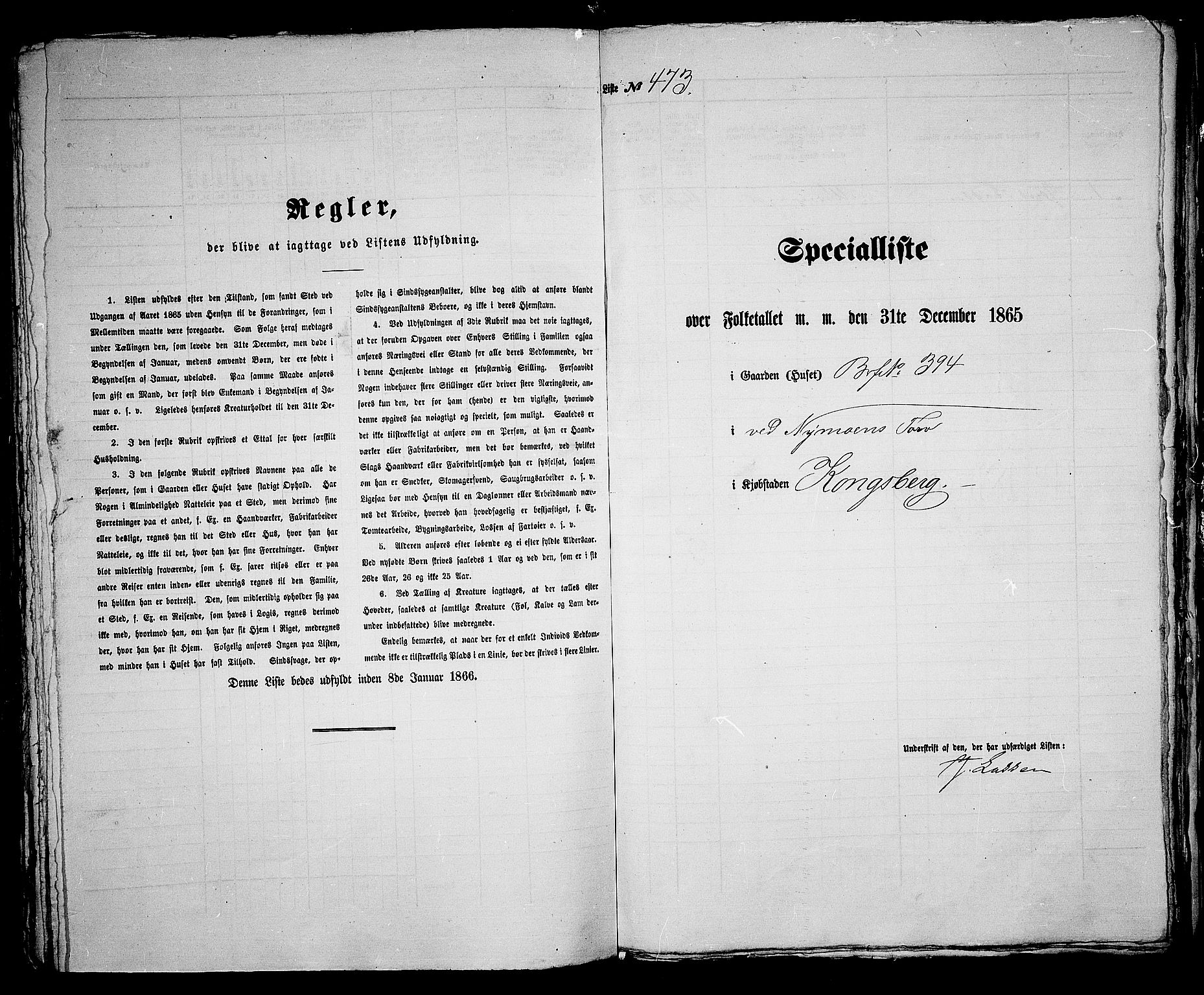 RA, 1865 census for Kongsberg/Kongsberg, 1865, p. 955