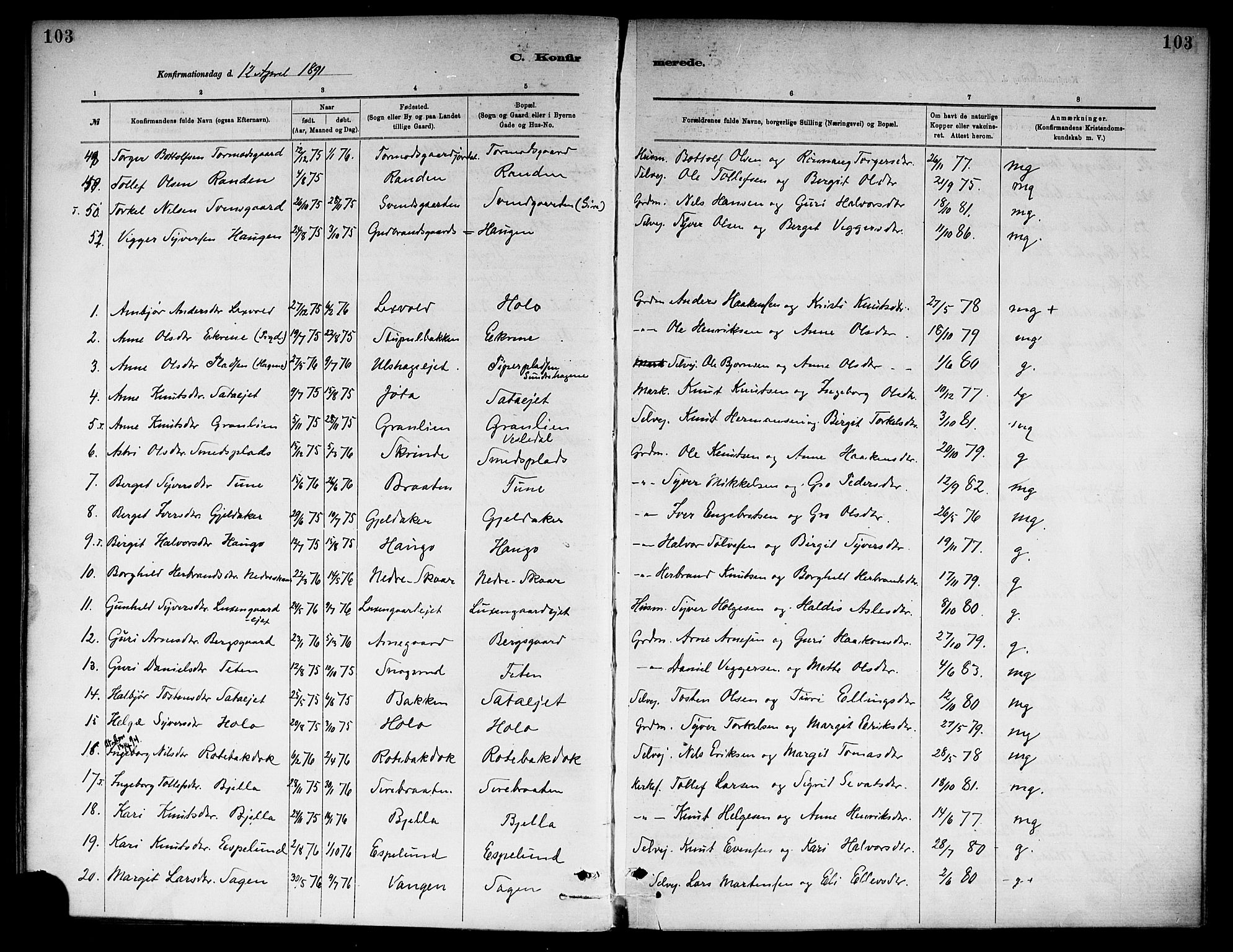 Ål kirkebøker, SAKO/A-249/F/Fa/L0008: Parish register (official) no. I 8, 1882-1896, p. 103