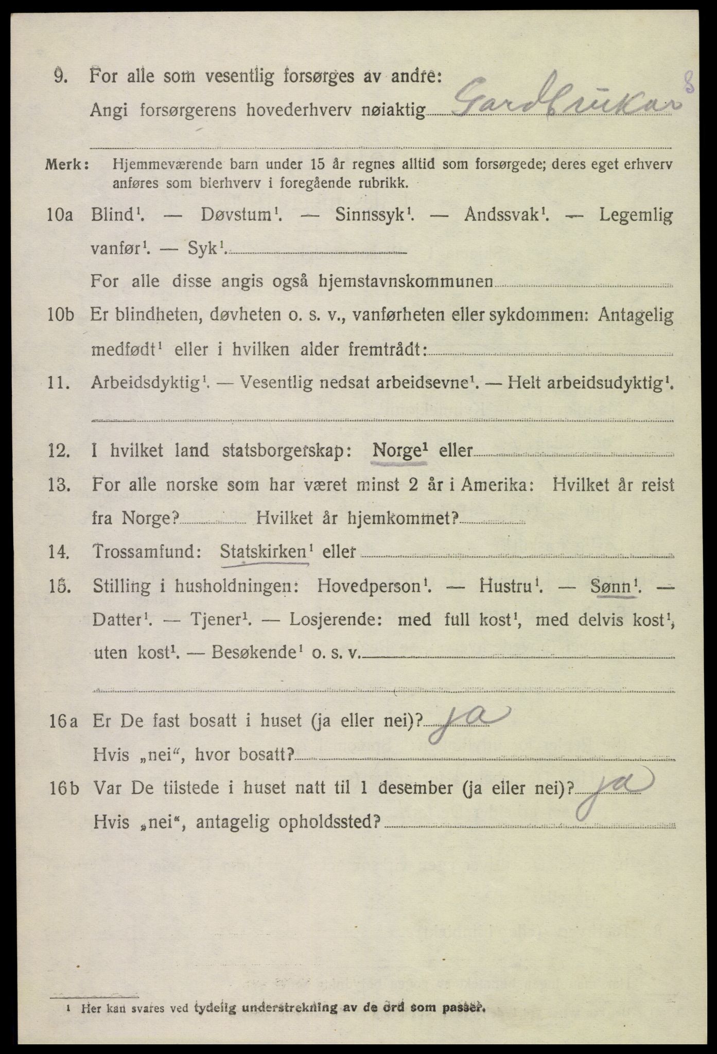 SAK, 1920 census for Hornnes, 1920, p. 3060