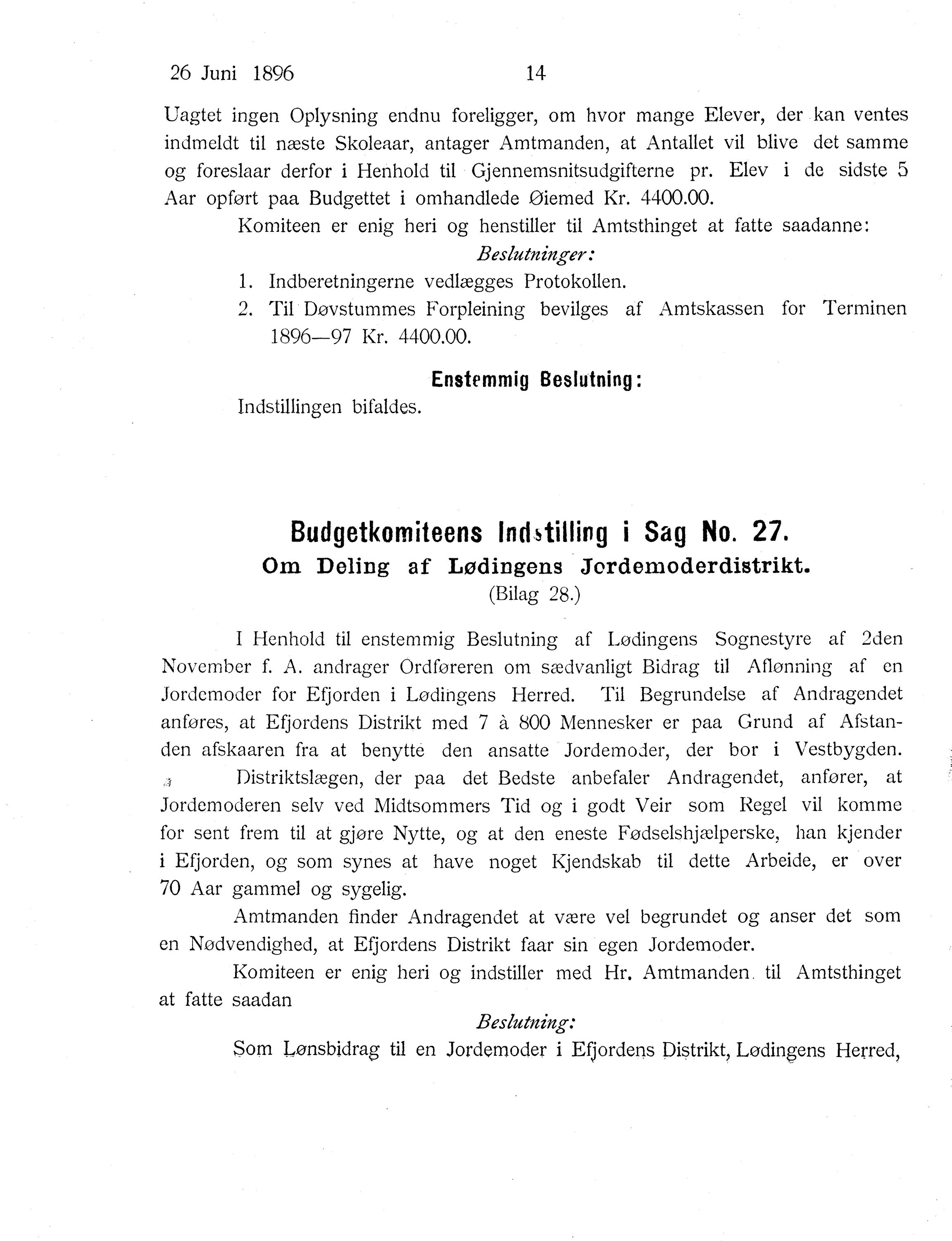 Nordland Fylkeskommune. Fylkestinget, AIN/NFK-17/176/A/Ac/L0019: Fylkestingsforhandlinger 1896, 1896