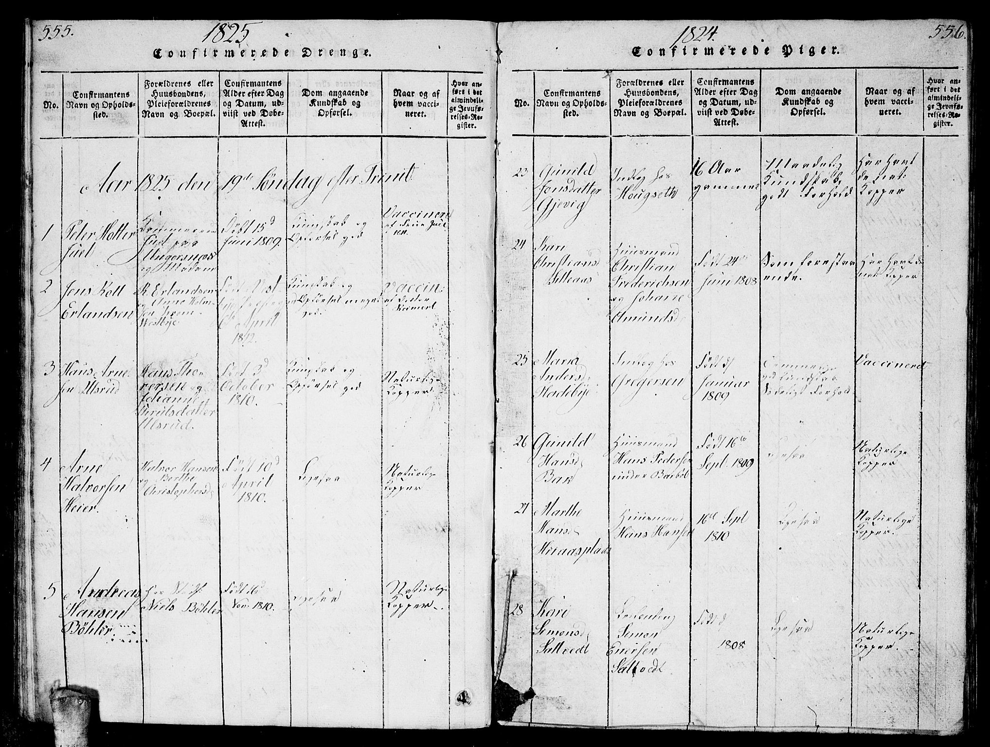 Enebakk prestekontor Kirkebøker, AV/SAO-A-10171c/G/Ga/L0001: Parish register (copy) no. I 1, 1815-1833, p. 555-556