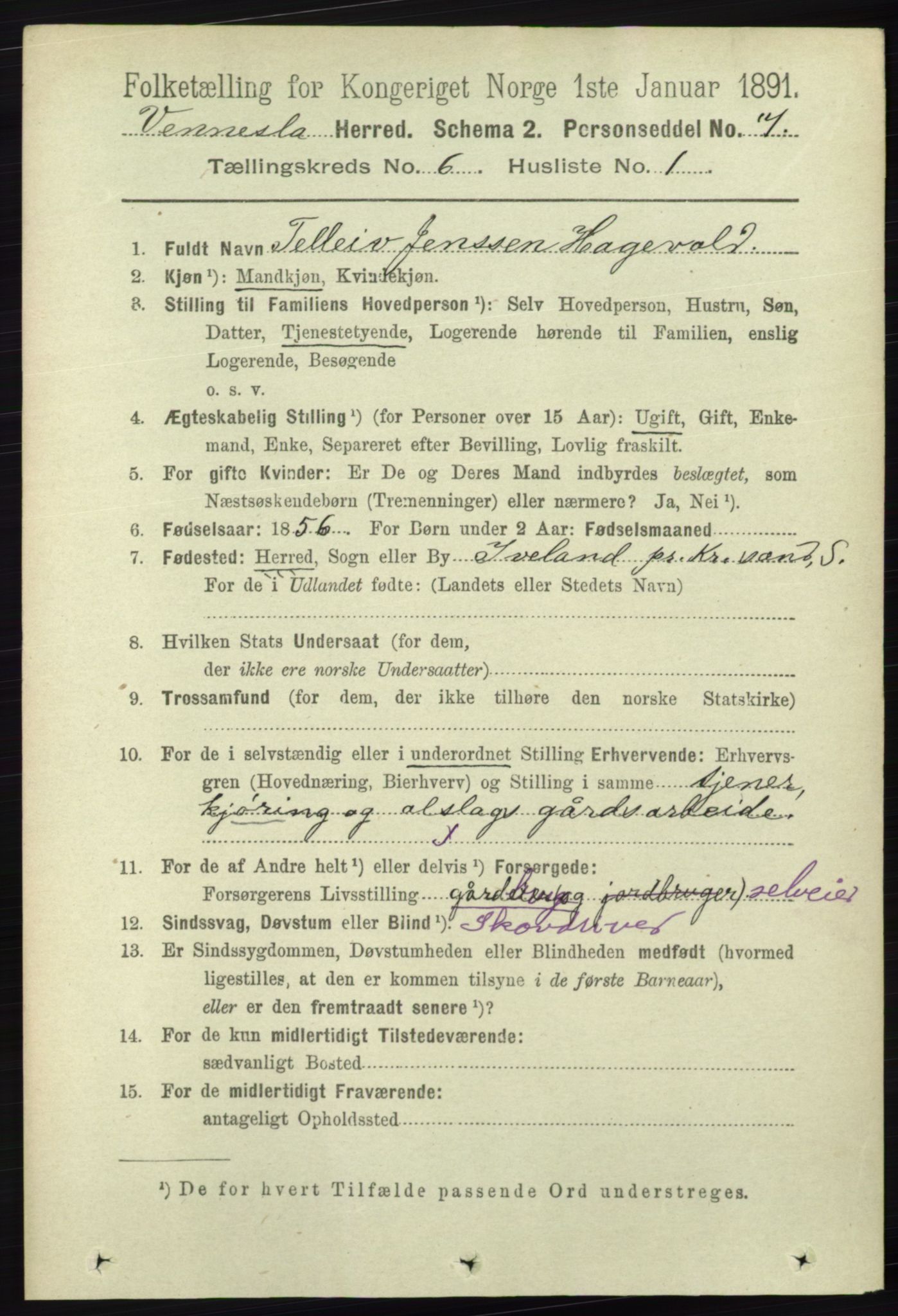 RA, 1891 census for 1014 Vennesla, 1891, p. 1599