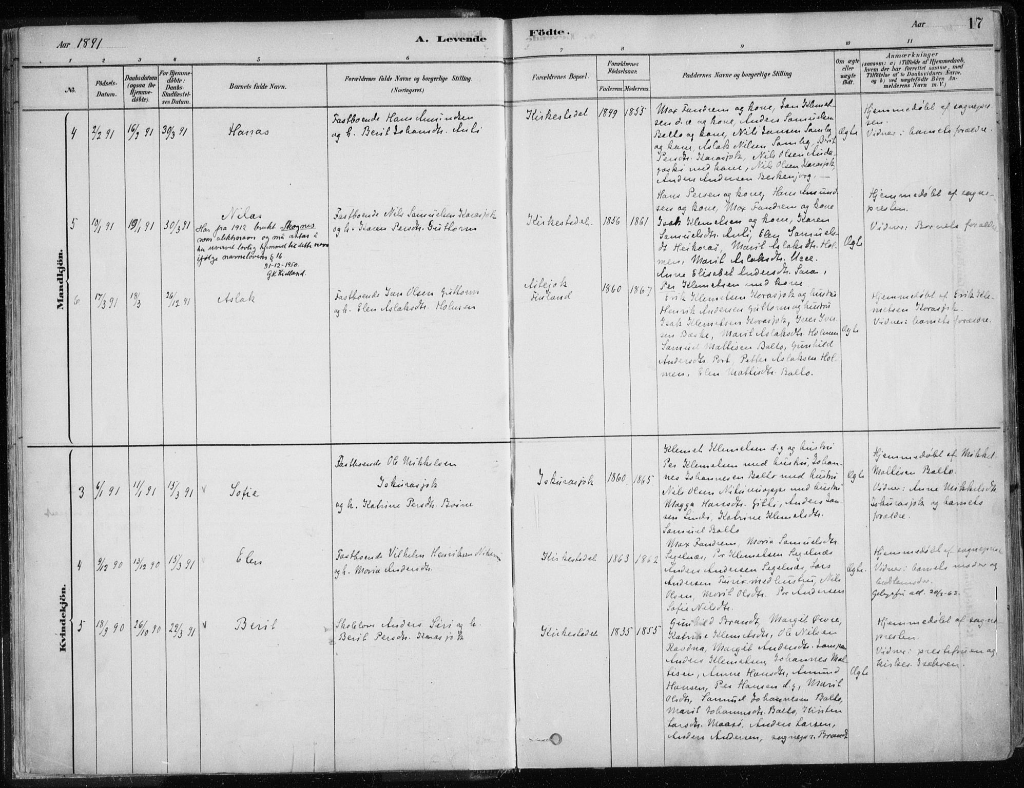 Karasjok sokneprestkontor, AV/SATØ-S-1352/H/Ha/L0002kirke: Parish register (official) no. 2, 1885-1906, p. 17