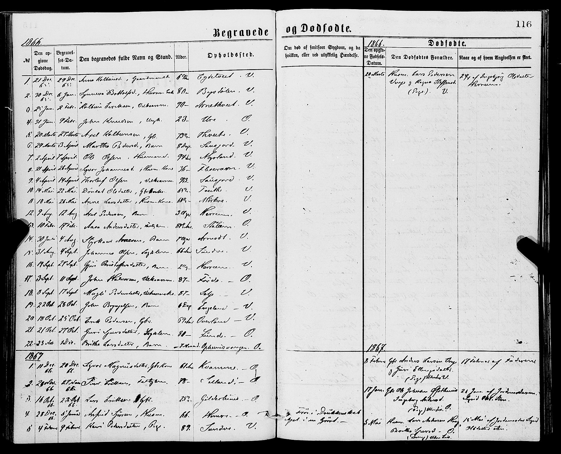 Vossestrand Sokneprestembete, AV/SAB-A-79101/H/Haa: Parish register (official) no. A 1, 1866-1877, p. 116