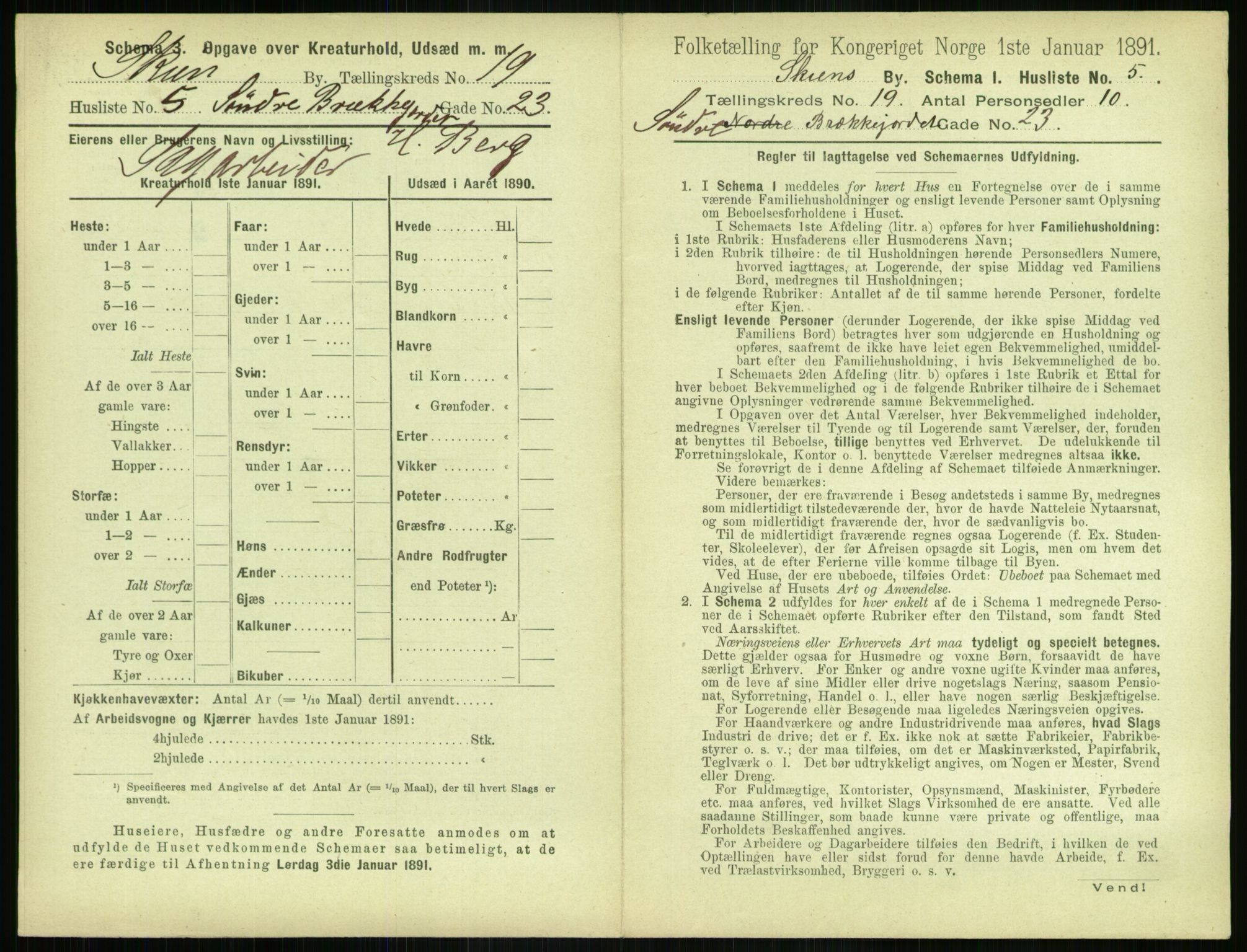 RA, 1891 census for 0806 Skien, 1891, p. 738