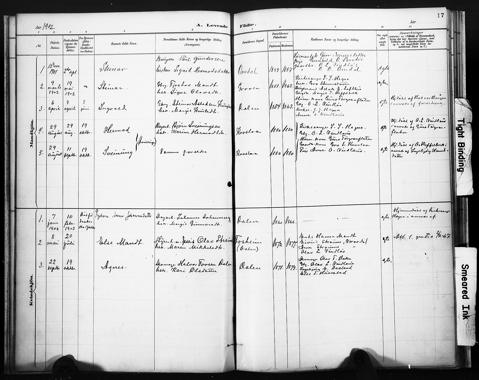 Lårdal kirkebøker, SAKO/A-284/F/Fb/L0002: Parish register (official) no. II 2, 1887-1918, p. 17