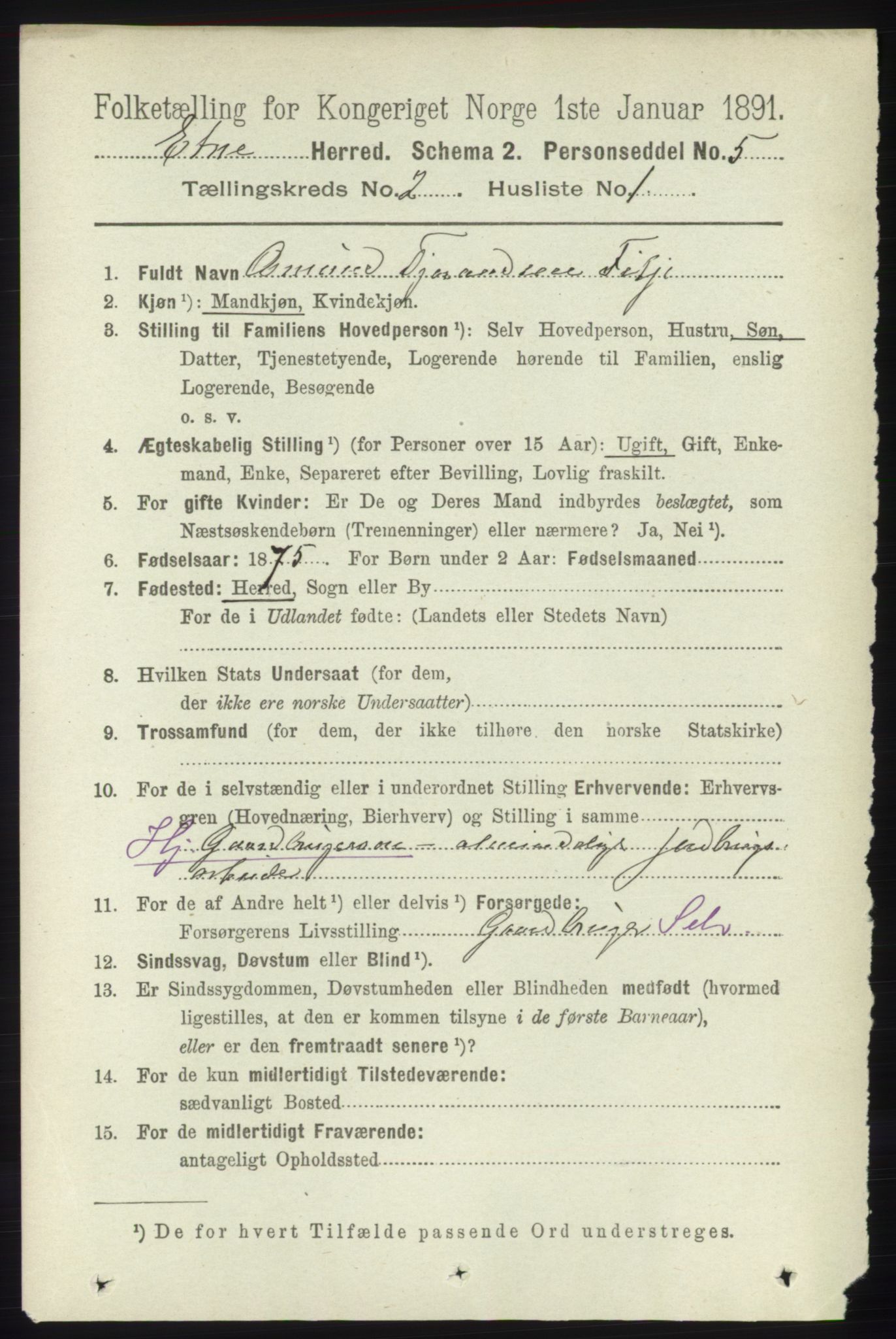 RA, 1891 census for 1211 Etne, 1891, p. 336