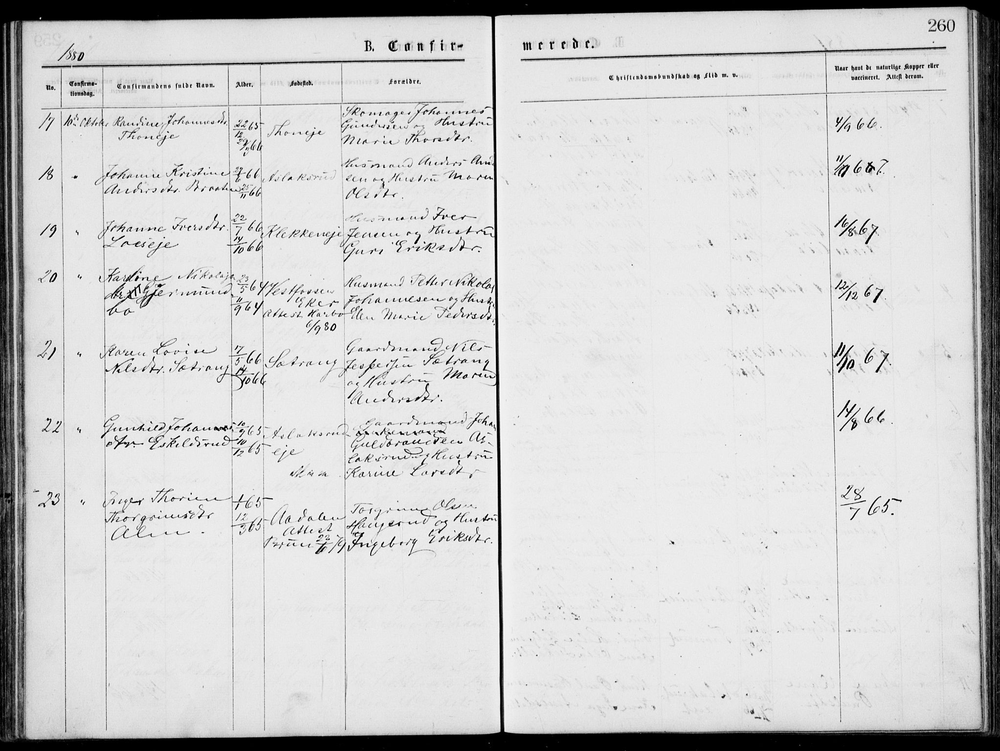 Norderhov kirkebøker, SAKO/A-237/G/Gb/L0001: Parish register (copy) no. II 1, 1876-1899, p. 260