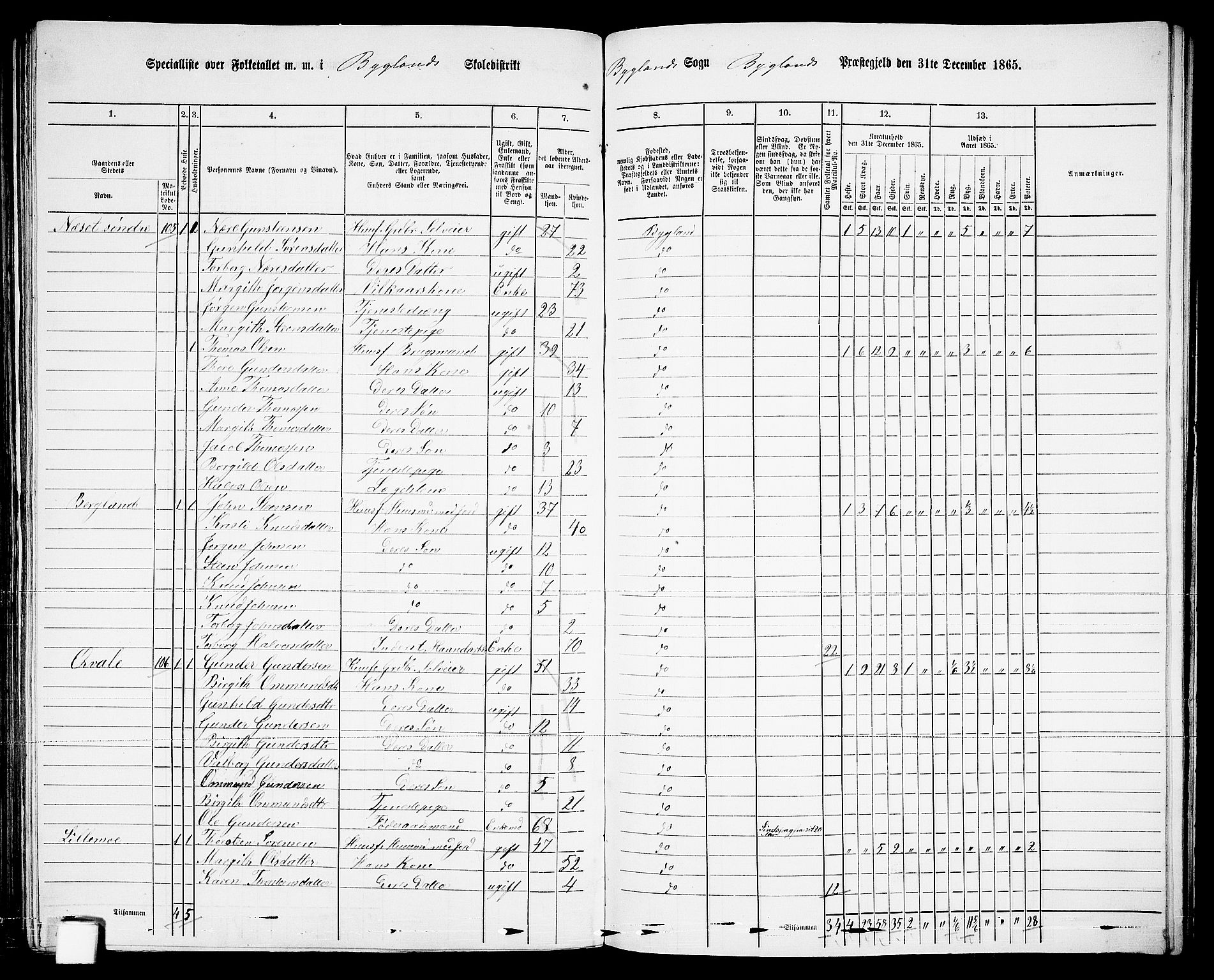 RA, 1865 census for Bygland, 1865, p. 58