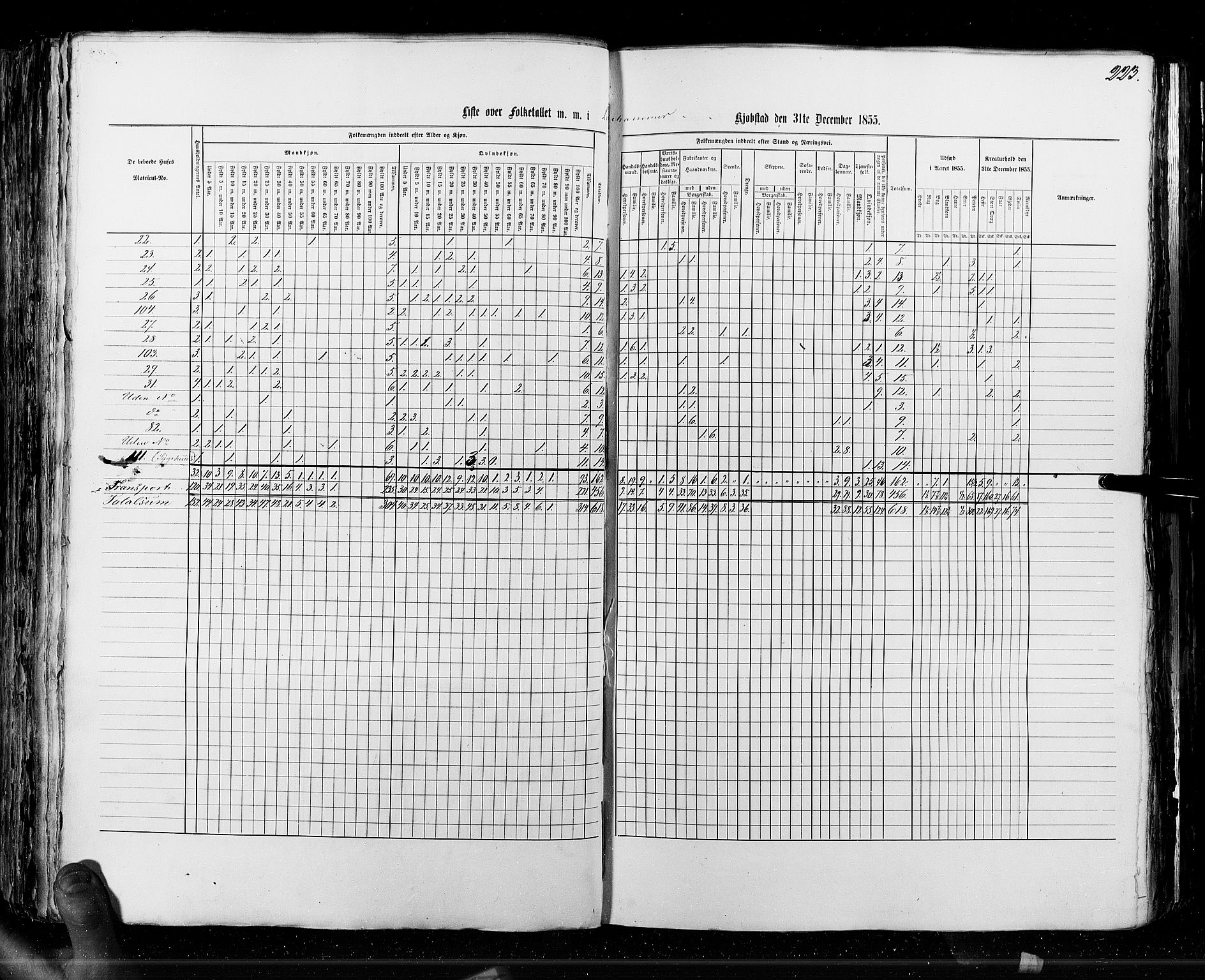 RA, Census 1855, vol. 7: Fredrikshald-Kragerø, 1855, p. 223