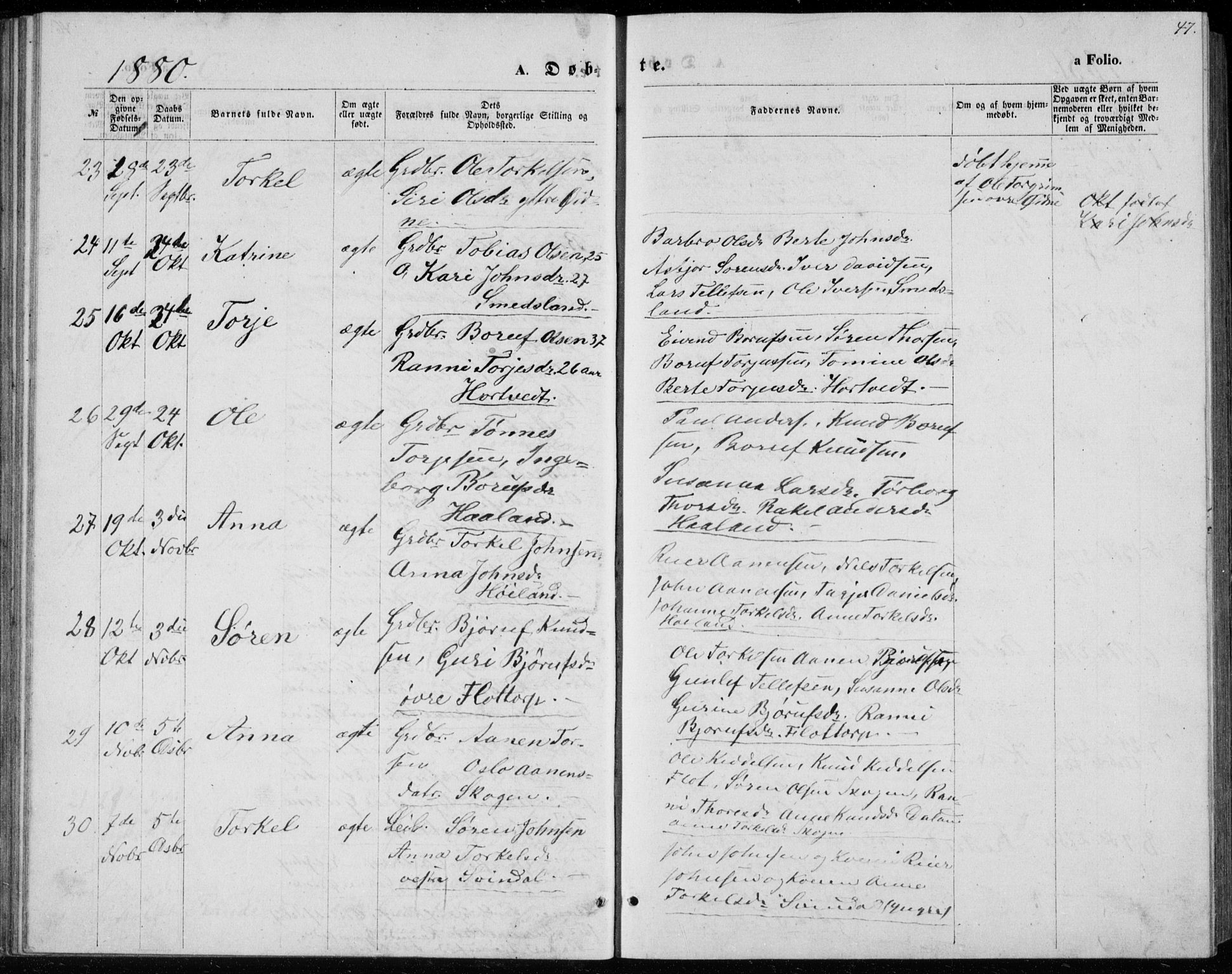 Bjelland sokneprestkontor, AV/SAK-1111-0005/F/Fb/Fbc/L0002: Parish register (copy) no. B 2, 1867-1887, p. 47