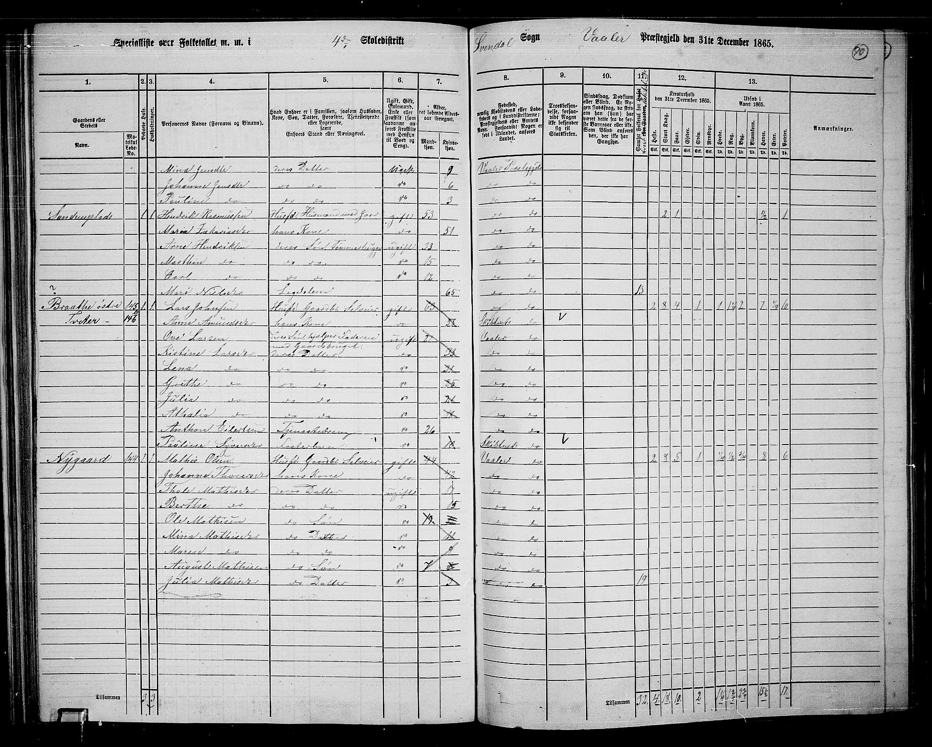 RA, 1865 census for Våler, 1865, p. 80