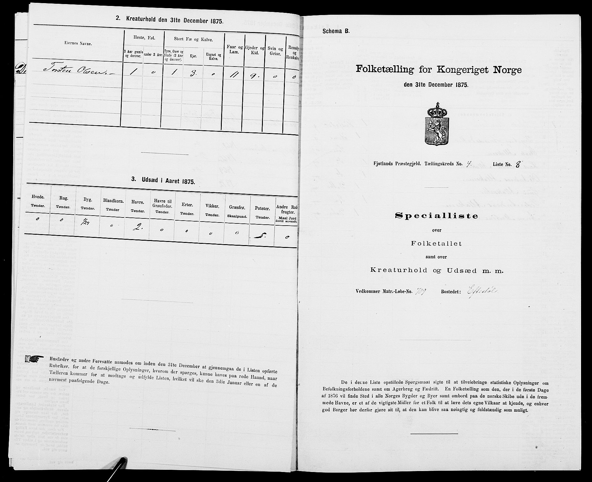 SAK, 1875 census for 1036P Fjotland, 1875, p. 229