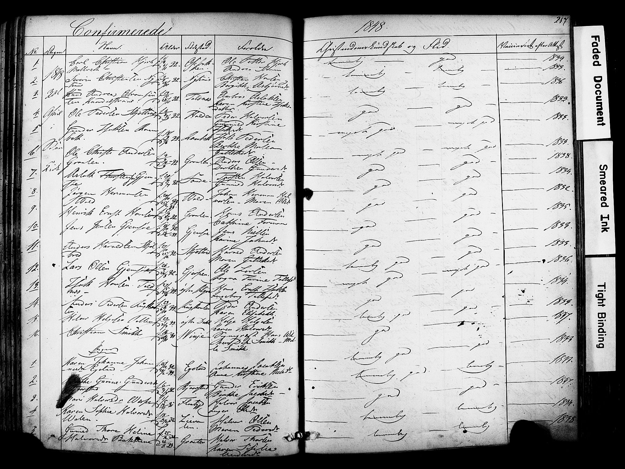 Solum kirkebøker, SAKO/A-306/F/Fa/L0006: Parish register (official) no. I 6, 1844-1855, p. 217