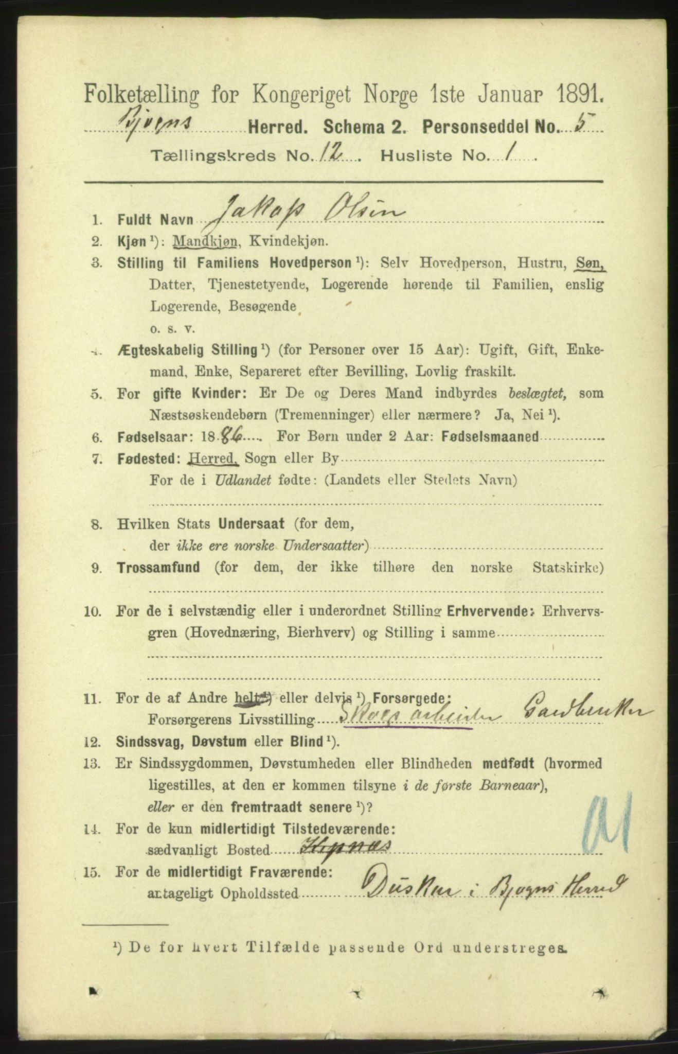 RA, 1891 census for 1627 Bjugn, 1891, p. 3494