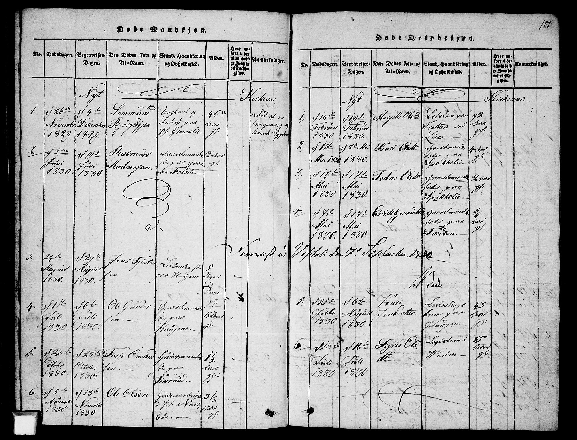 Fyresdal kirkebøker, SAKO/A-263/G/Ga/L0003: Parish register (copy) no. I 3, 1815-1863, p. 101