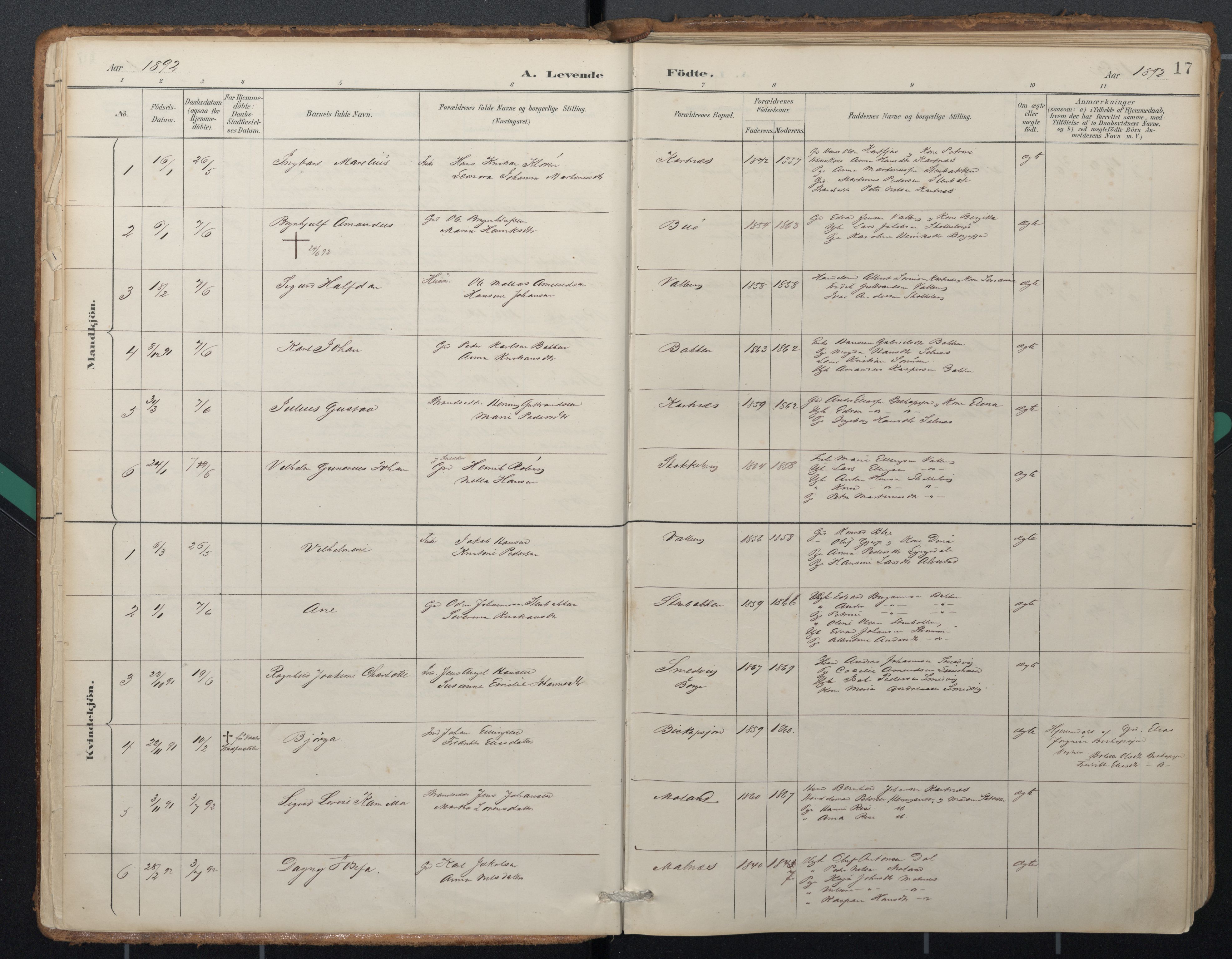 Ministerialprotokoller, klokkerbøker og fødselsregistre - Nordland, AV/SAT-A-1459/884/L1193: Parish register (official) no. 884A01, 1888-1905, p. 17