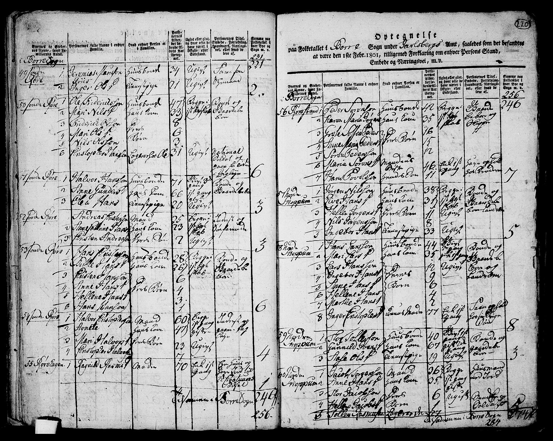 RA, 1801 census for 0717P Borre, 1801, p. 219b-220a