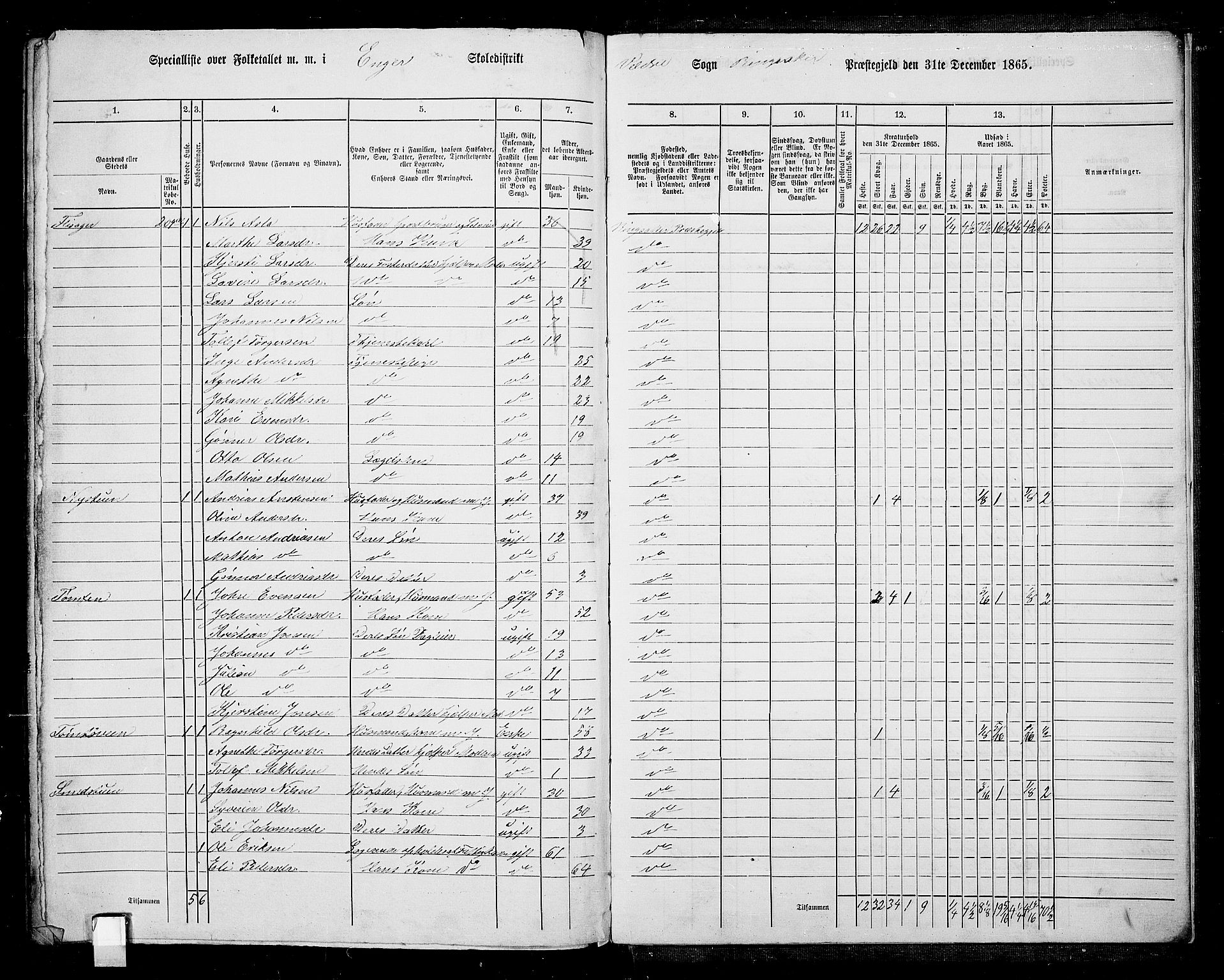 RA, 1865 census for Ringsaker, 1865, p. 257