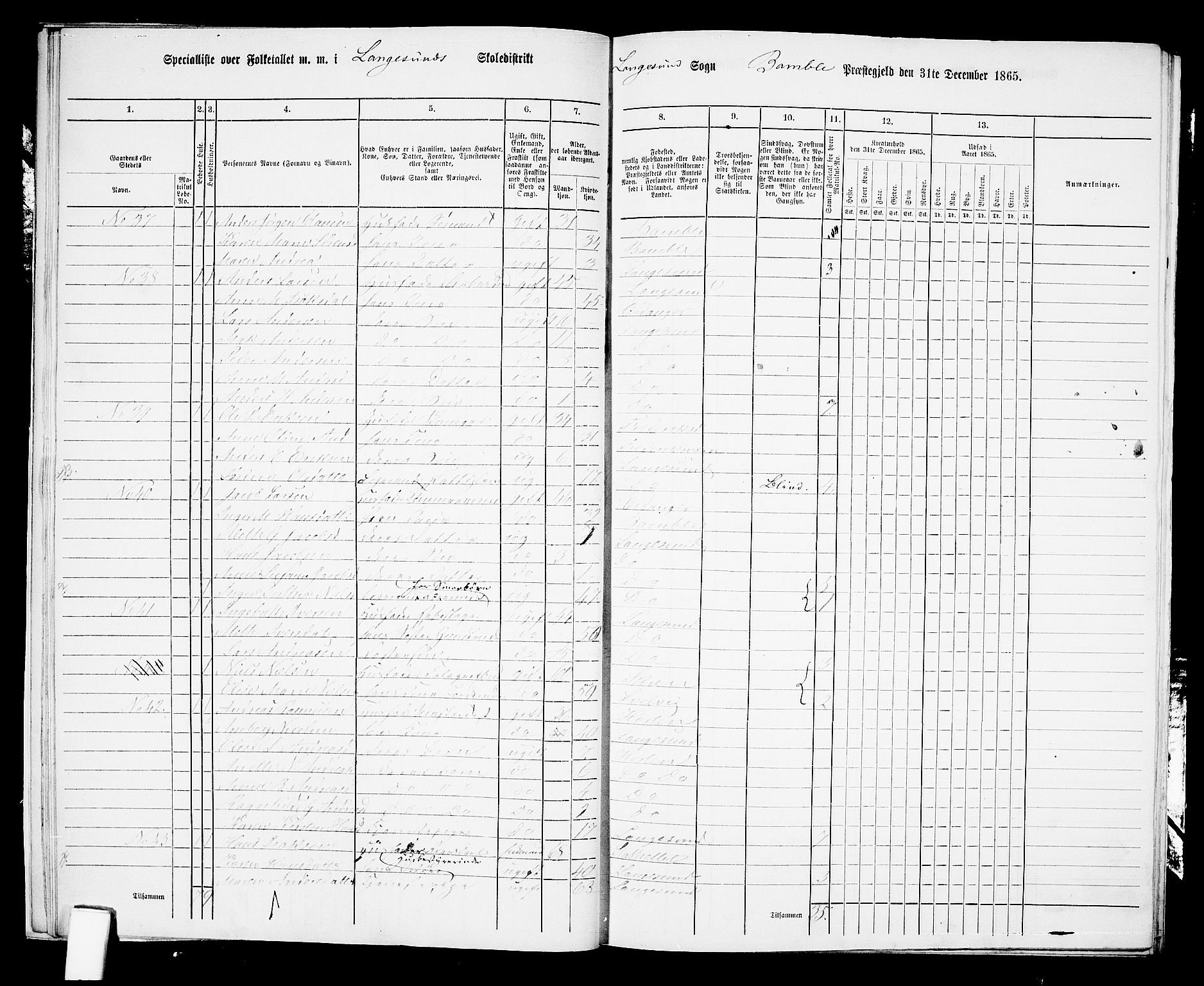 RA, 1865 census for Bamble, 1865, p. 199