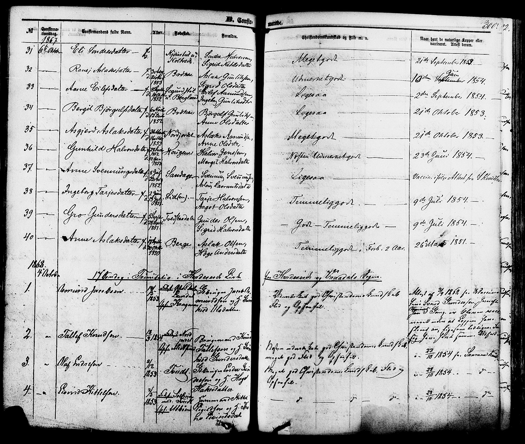 Kviteseid kirkebøker, SAKO/A-276/F/Fa/L0007: Parish register (official) no. I 7, 1859-1881, p. 300