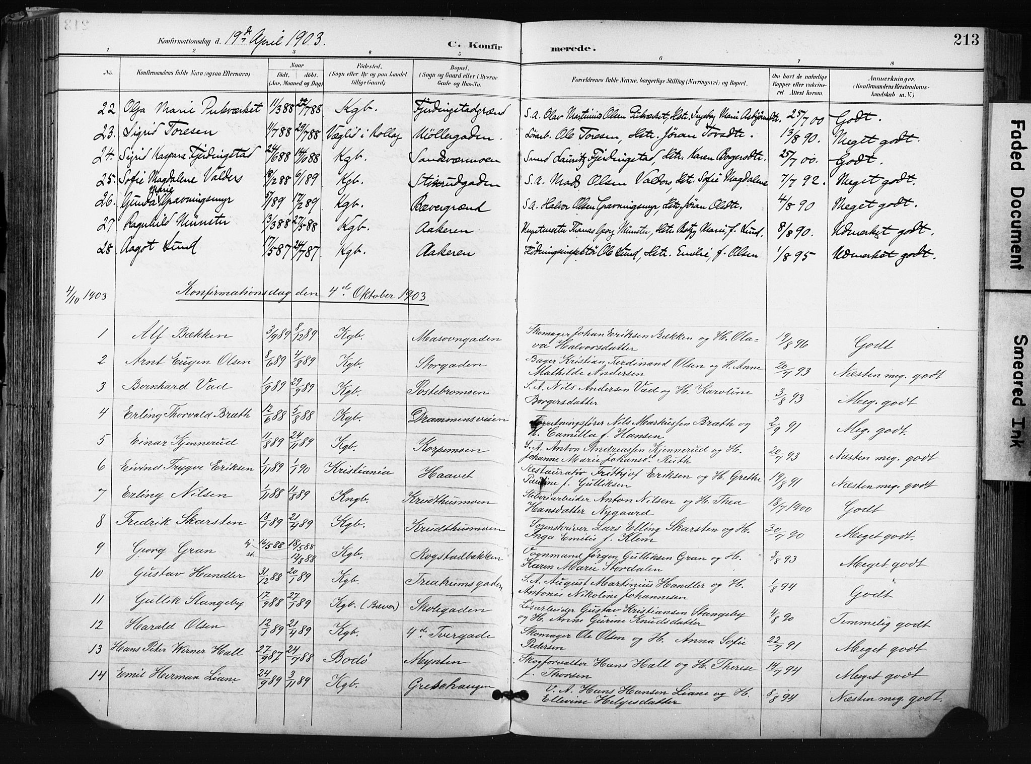 Kongsberg kirkebøker, AV/SAKO-A-22/F/Fb/L0003: Parish register (official) no. II 3, 1896-1905, p. 213