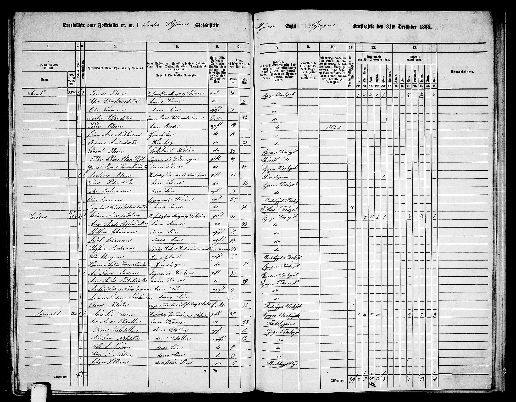 RA, 1865 census for Bjugn, 1865, p. 129