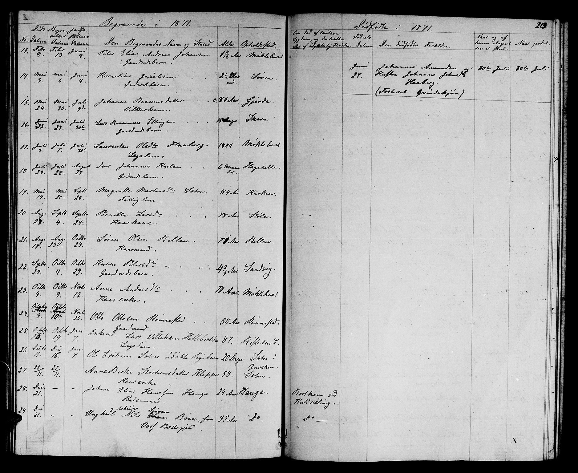 Ministerialprotokoller, klokkerbøker og fødselsregistre - Møre og Romsdal, AV/SAT-A-1454/503/L0047: Parish register (copy) no. 503C02, 1854-1884, p. 213