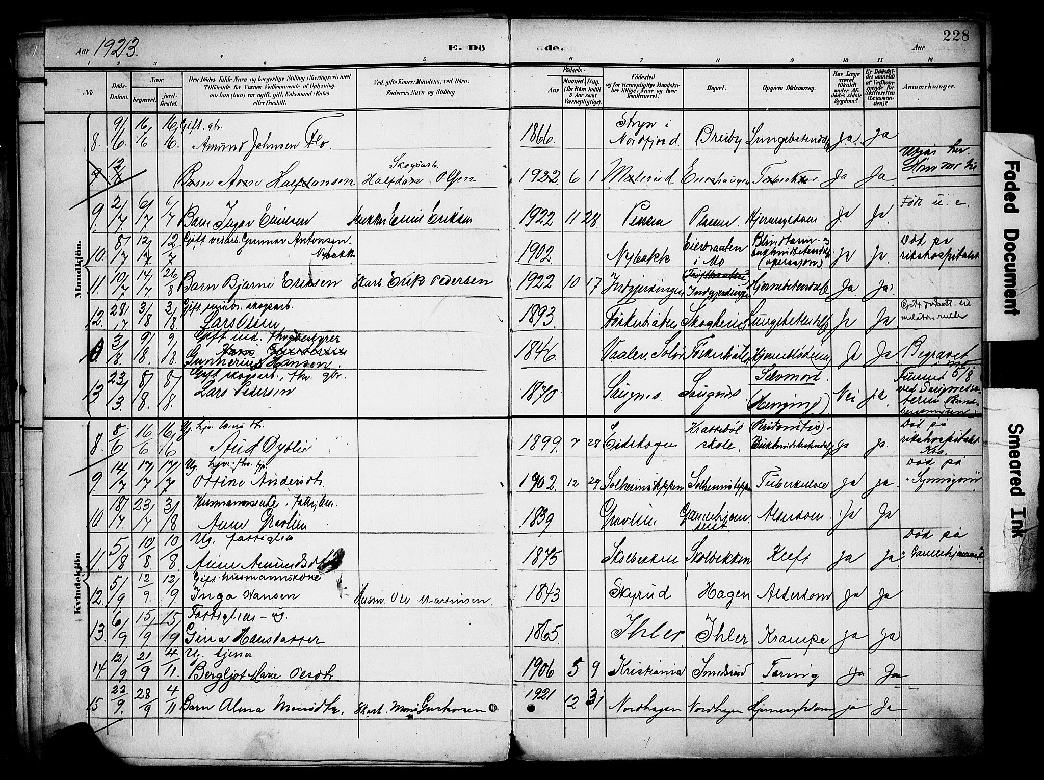 Nord-Odal prestekontor, AV/SAH-PREST-032/H/Ha/Haa/L0007: Parish register (official) no. 7, 1902-1926, p. 228