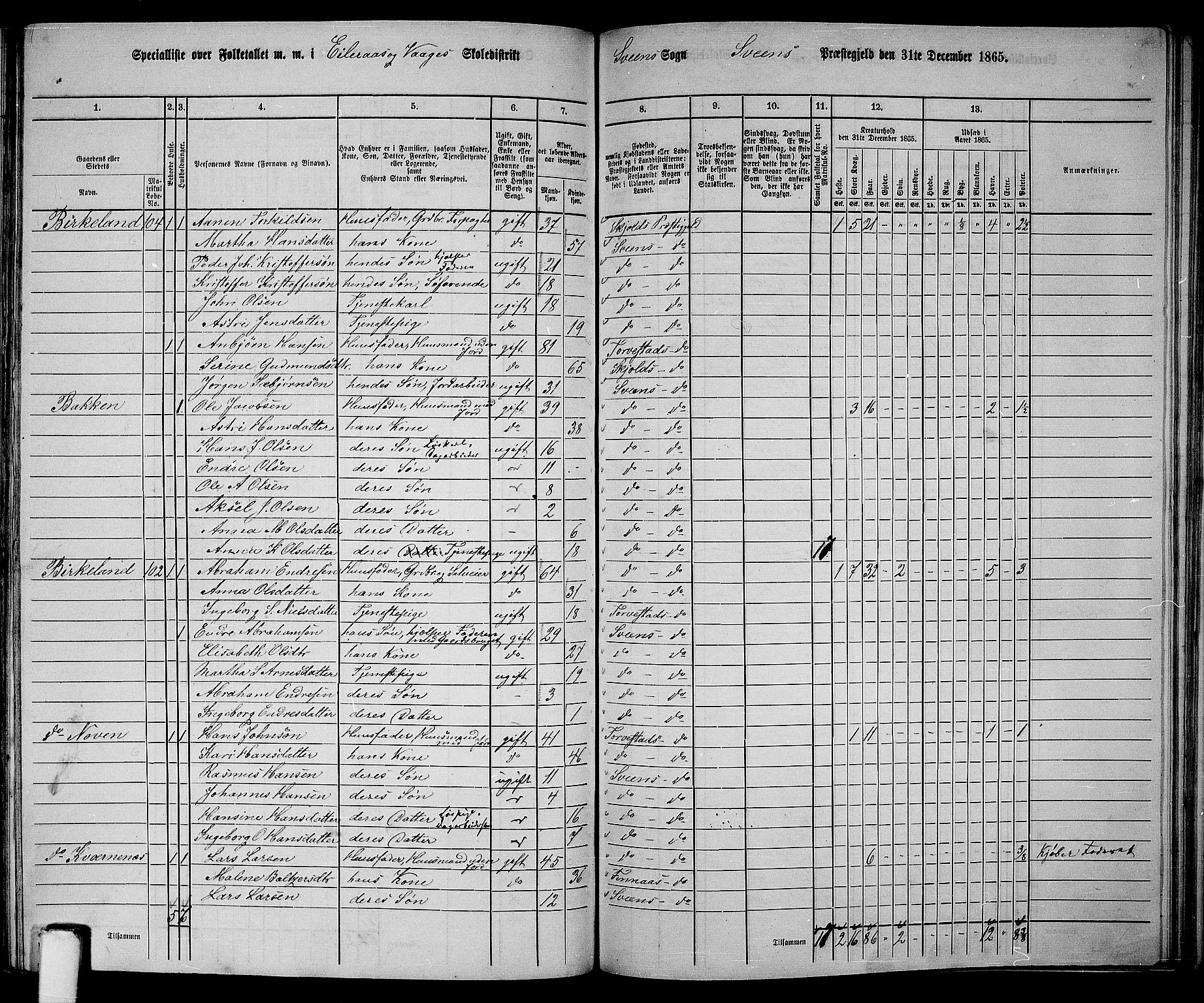 RA, 1865 census for Sveio, 1865, p. 142