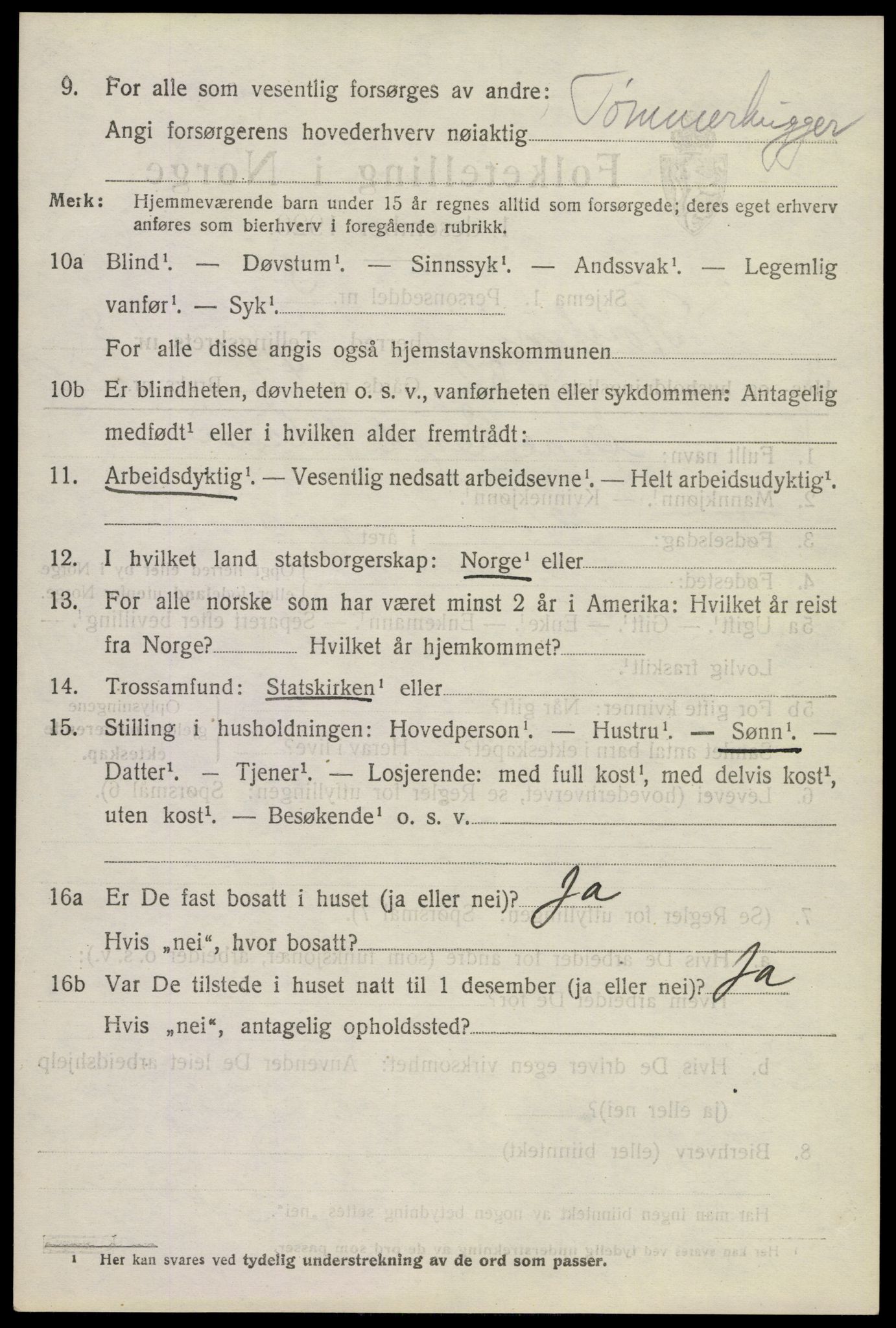 SAKO, 1920 census for Røyken, 1920, p. 11691