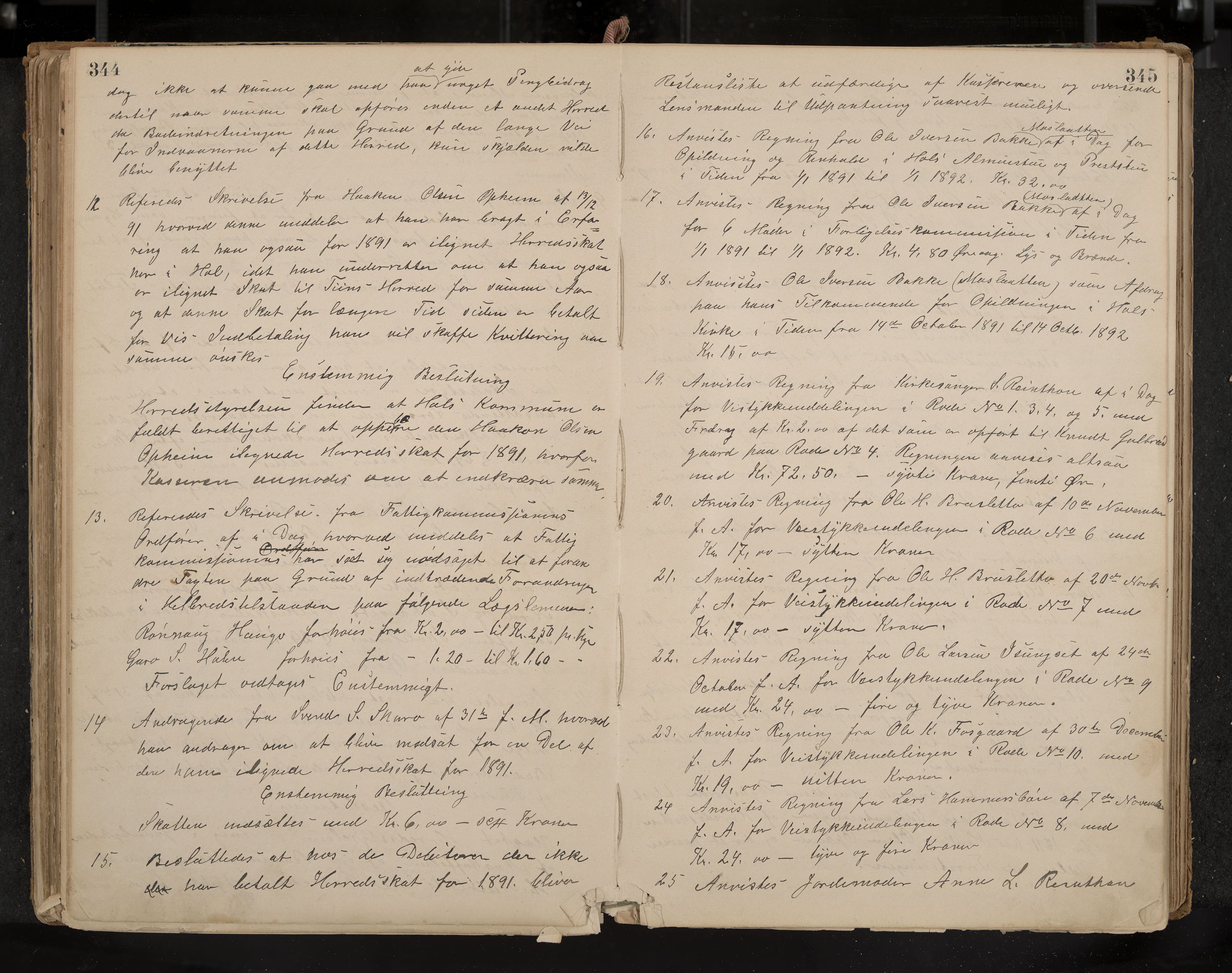 Hol formannskap og sentraladministrasjon, IKAK/0620021-1/A/L0001: Møtebok, 1877-1893, p. 344-345