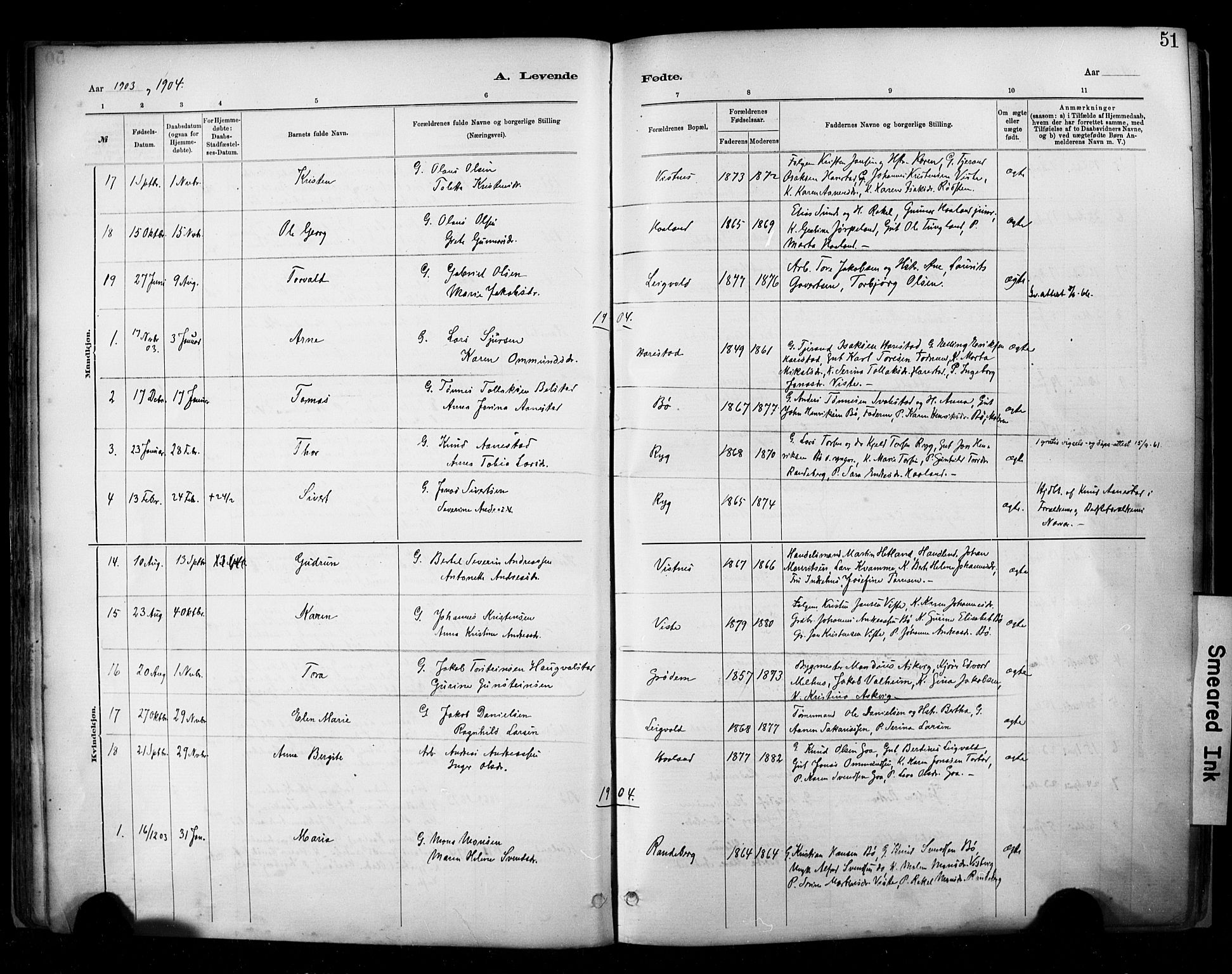 Hetland sokneprestkontor, SAST/A-101826/30/30BA/L0009: Parish register (official) no. A 9, 1882-1918, p. 51