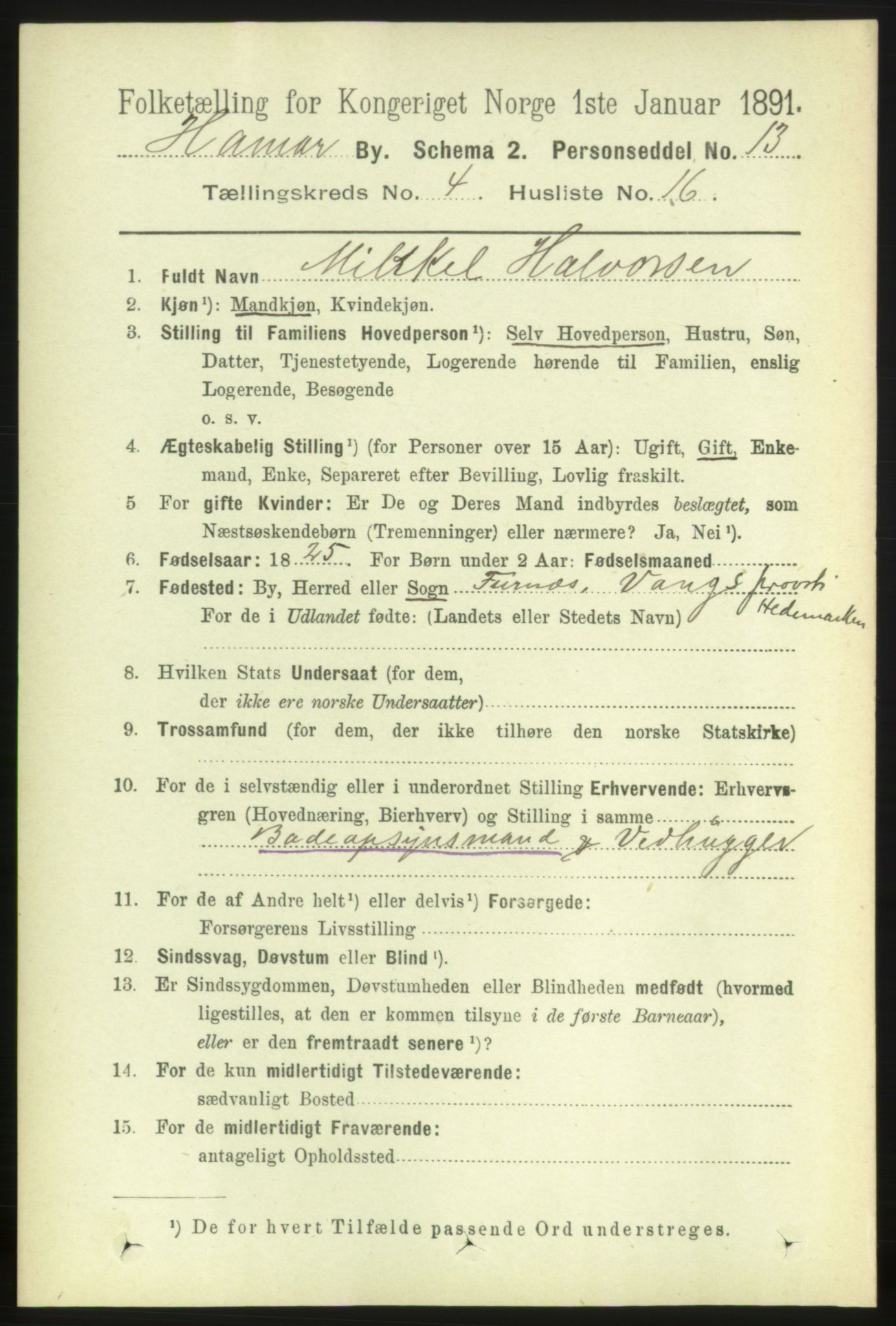 RA, 1891 census for 0401 Hamar, 1891, p. 3085