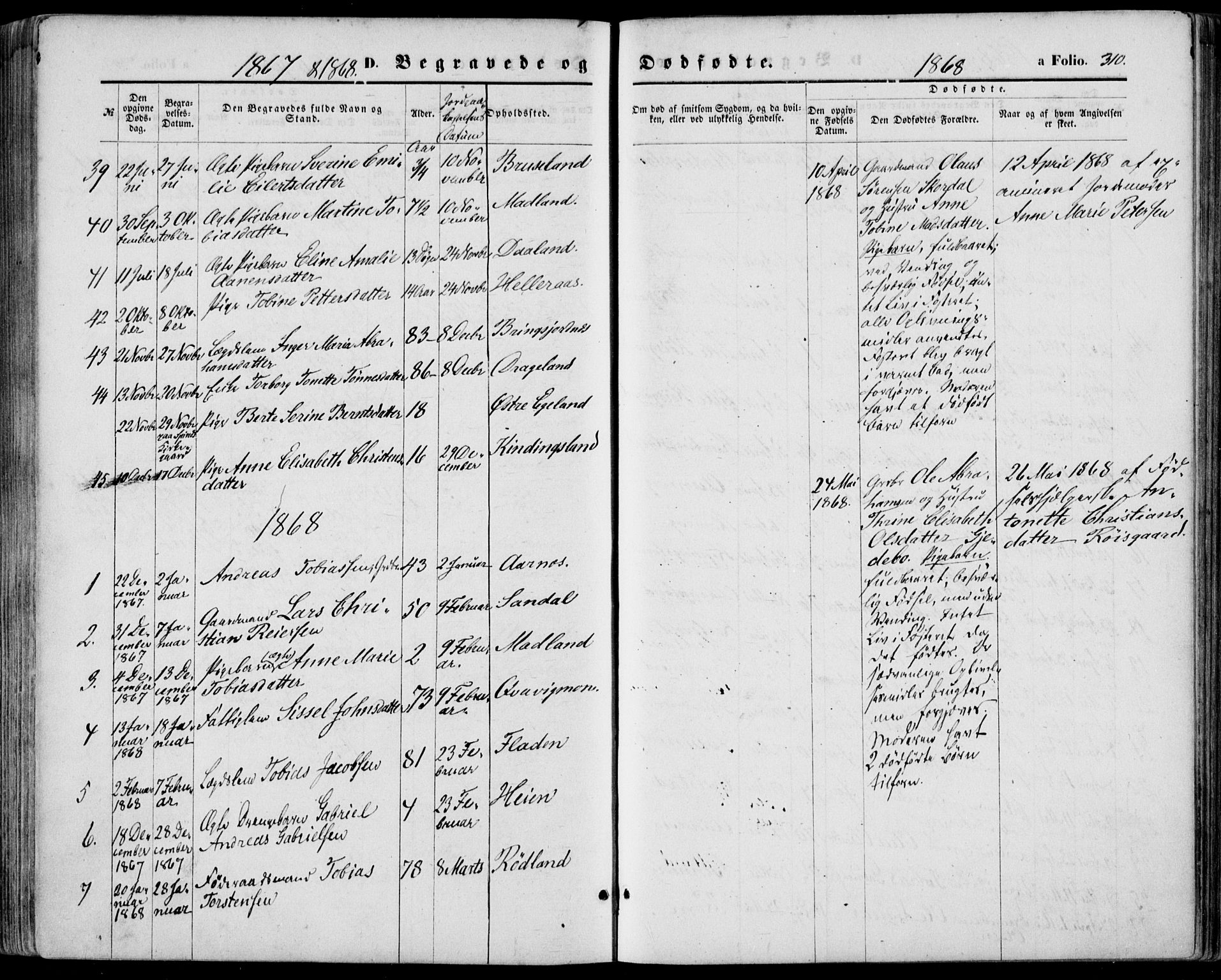 Lyngdal sokneprestkontor, SAK/1111-0029/F/Fa/Fac/L0010: Parish register (official) no. A 10, 1865-1878, p. 310